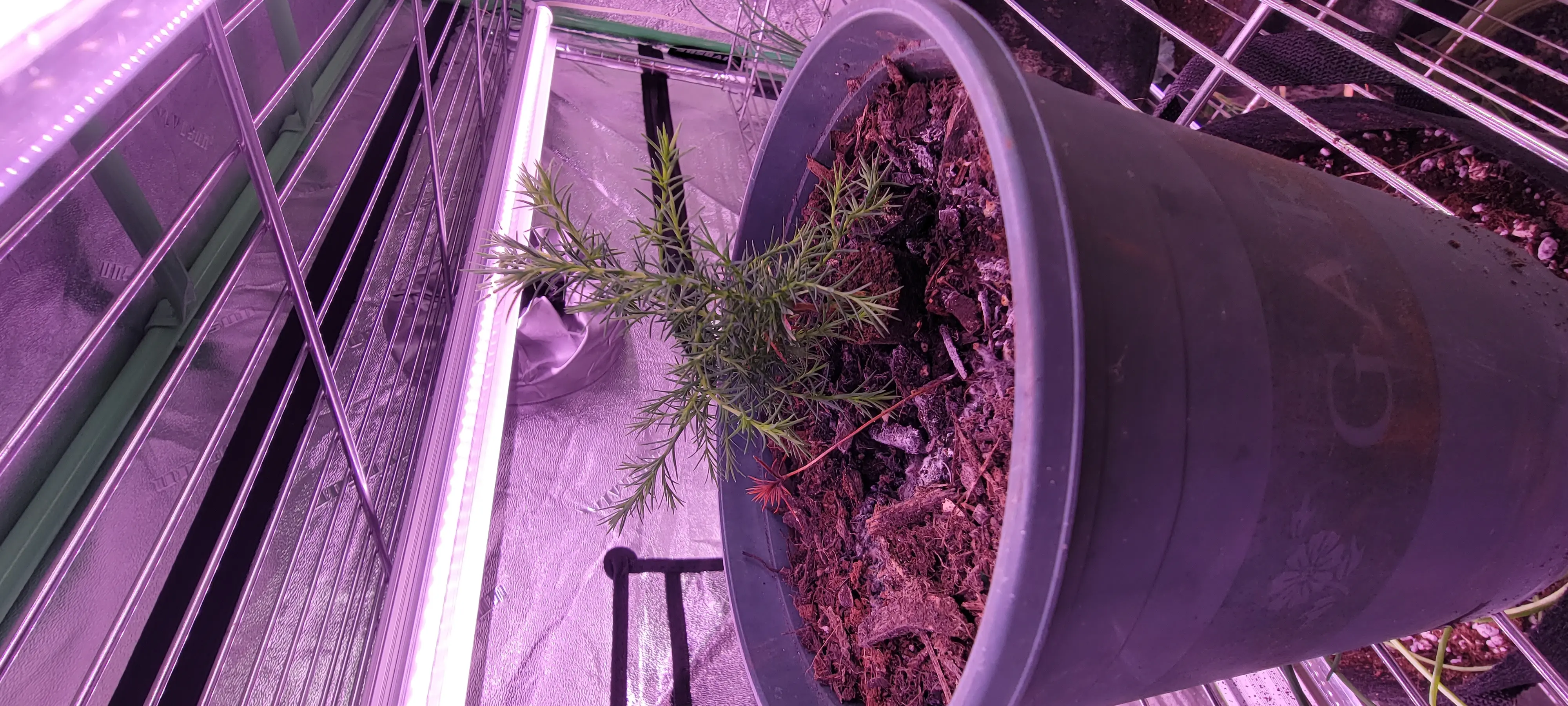 Image Indoor/20230226_191052.webp