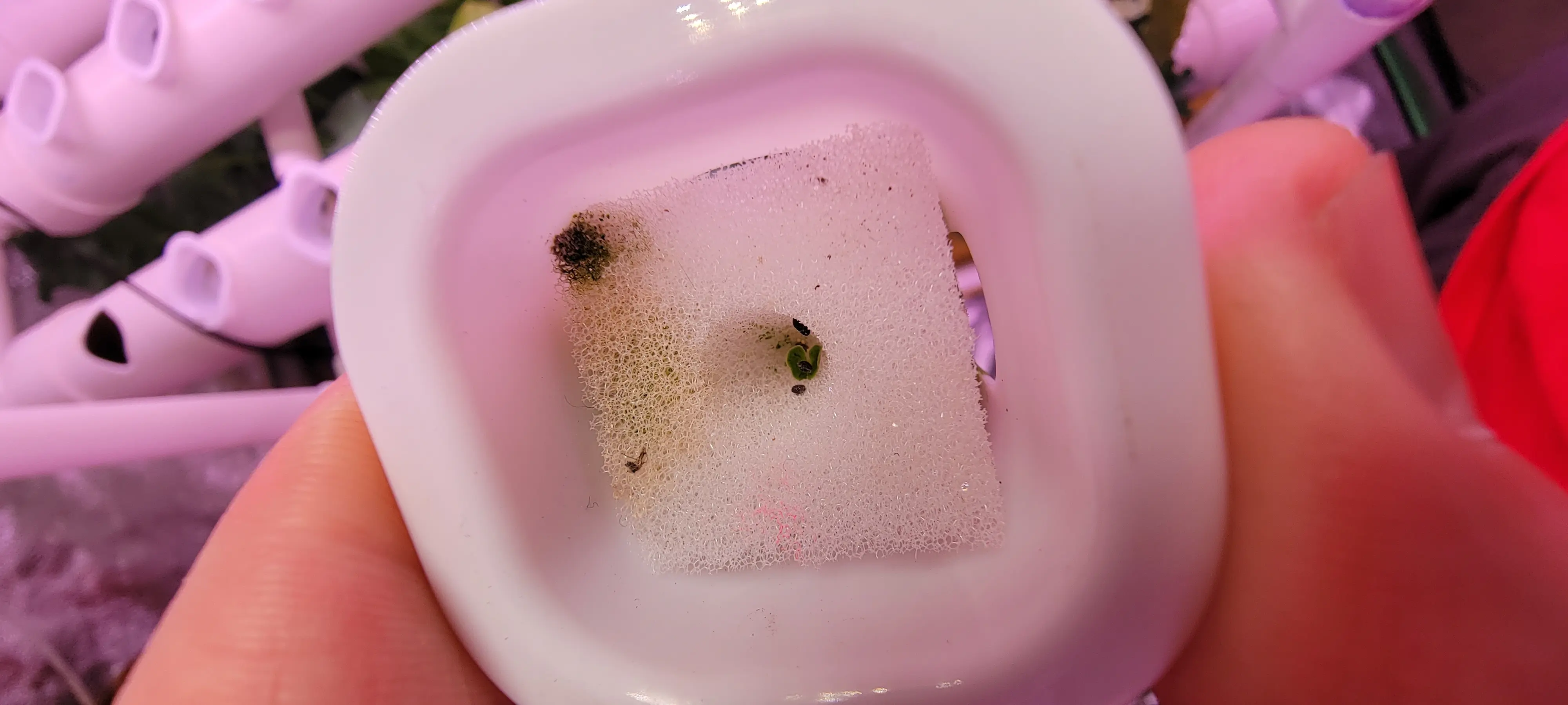 Image Indoor/20230226_191251.webp