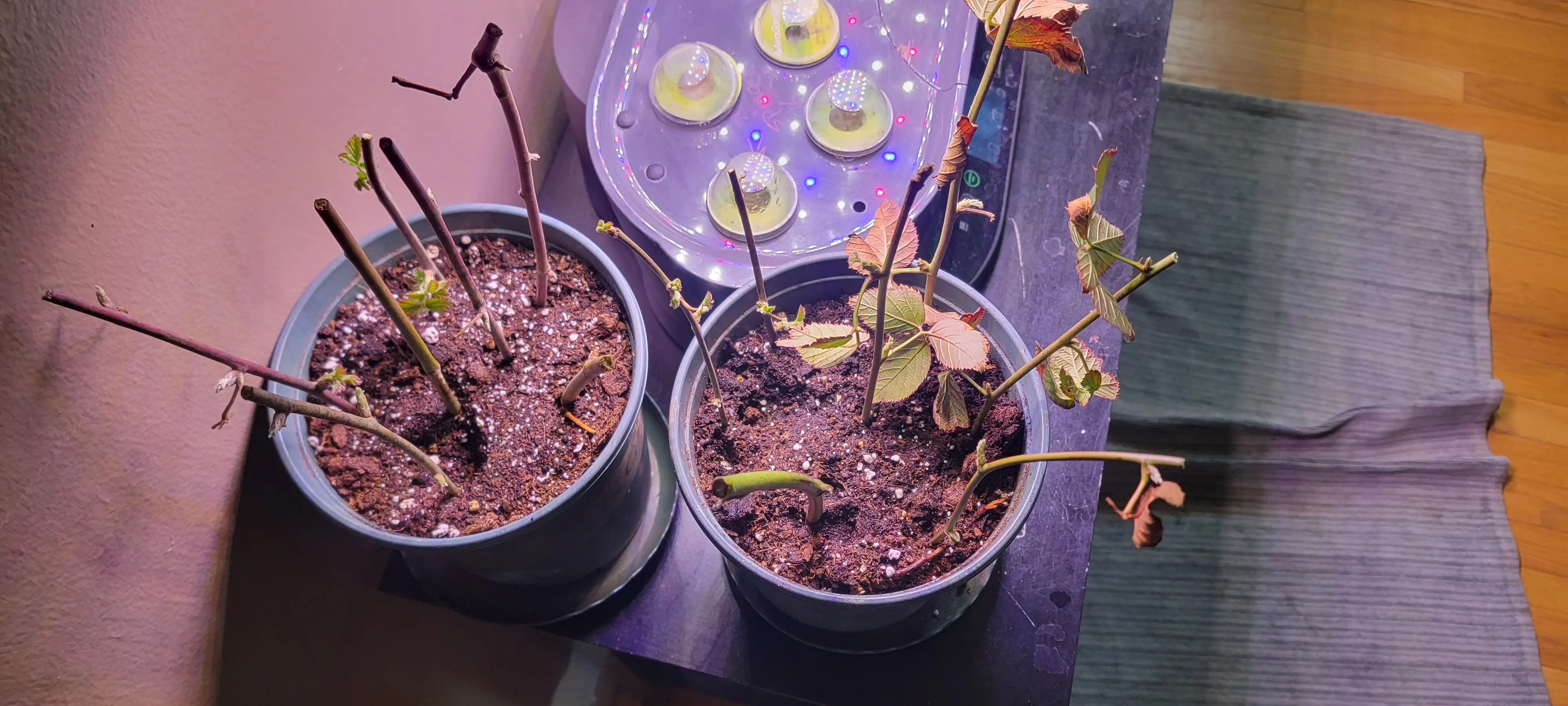 Image Indoor/20230330_125832.webp