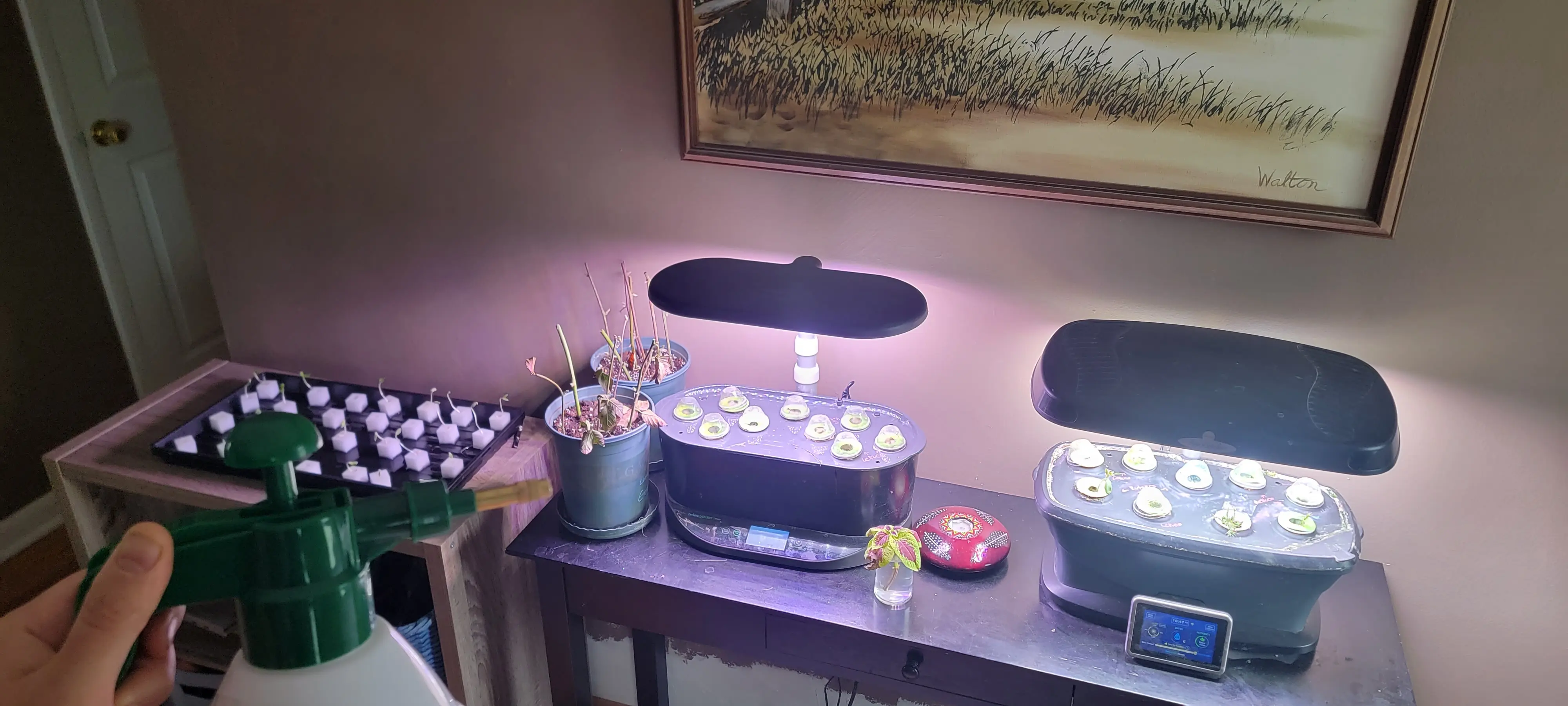 Image Indoor/20230331_104705.webp