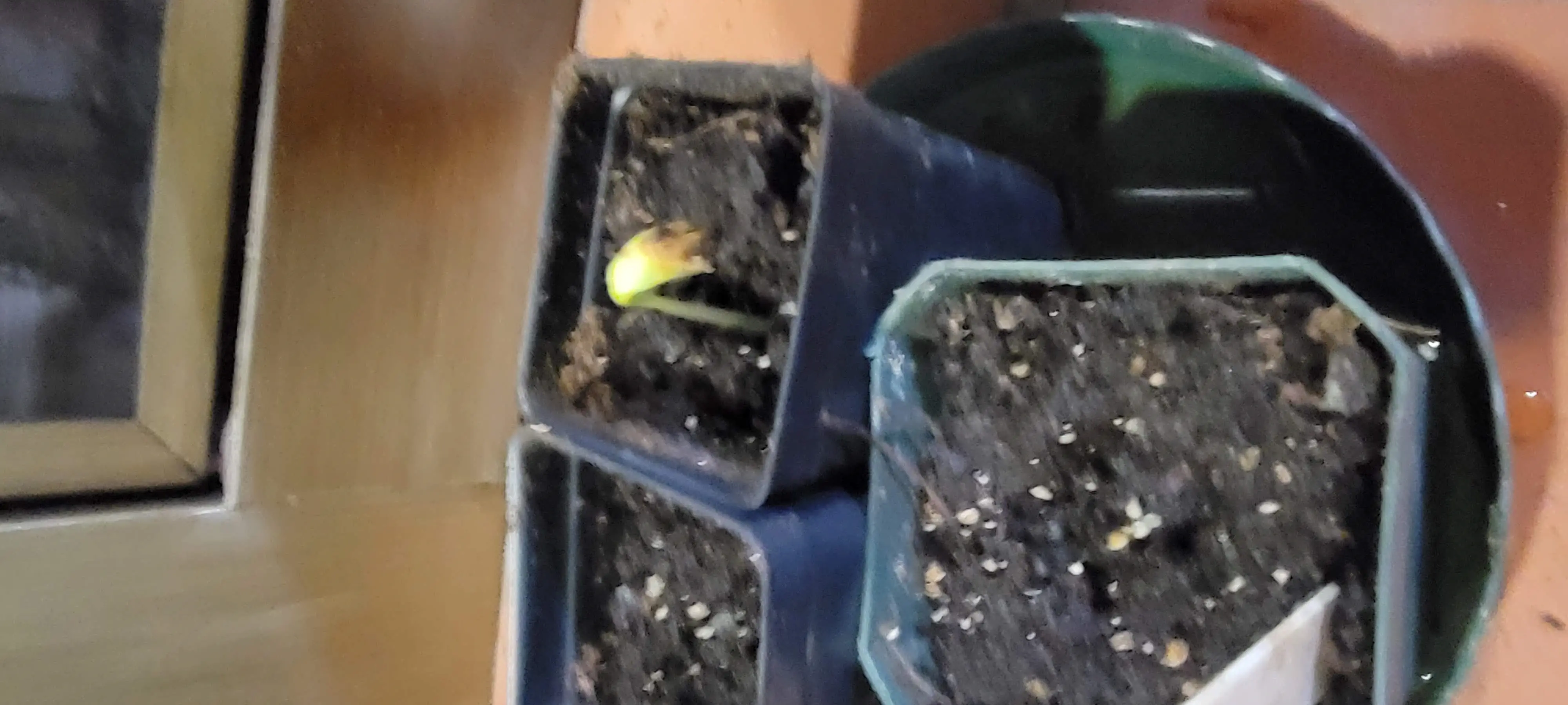 Image Outdoor/20210411_205517.webp