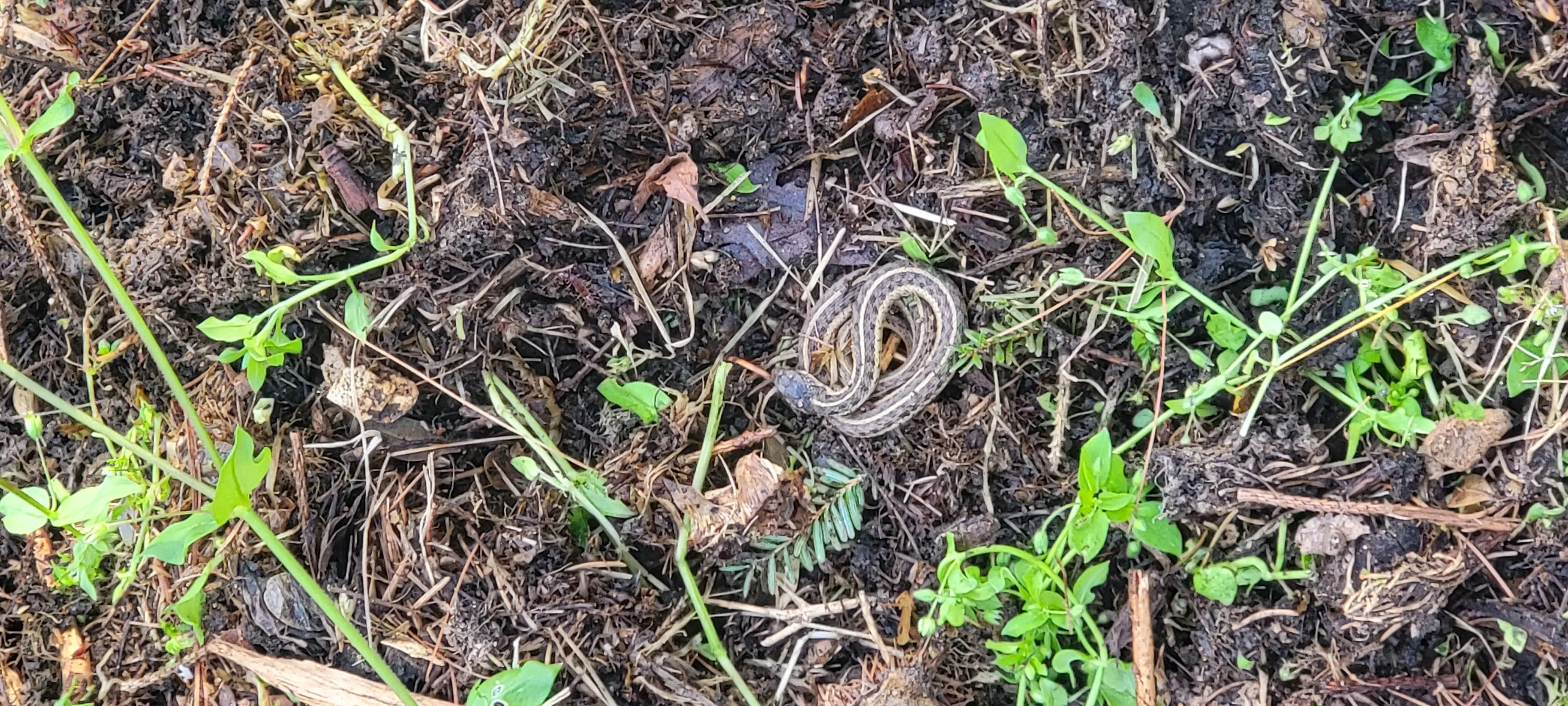 Image Outdoor/20210415_172906.webp