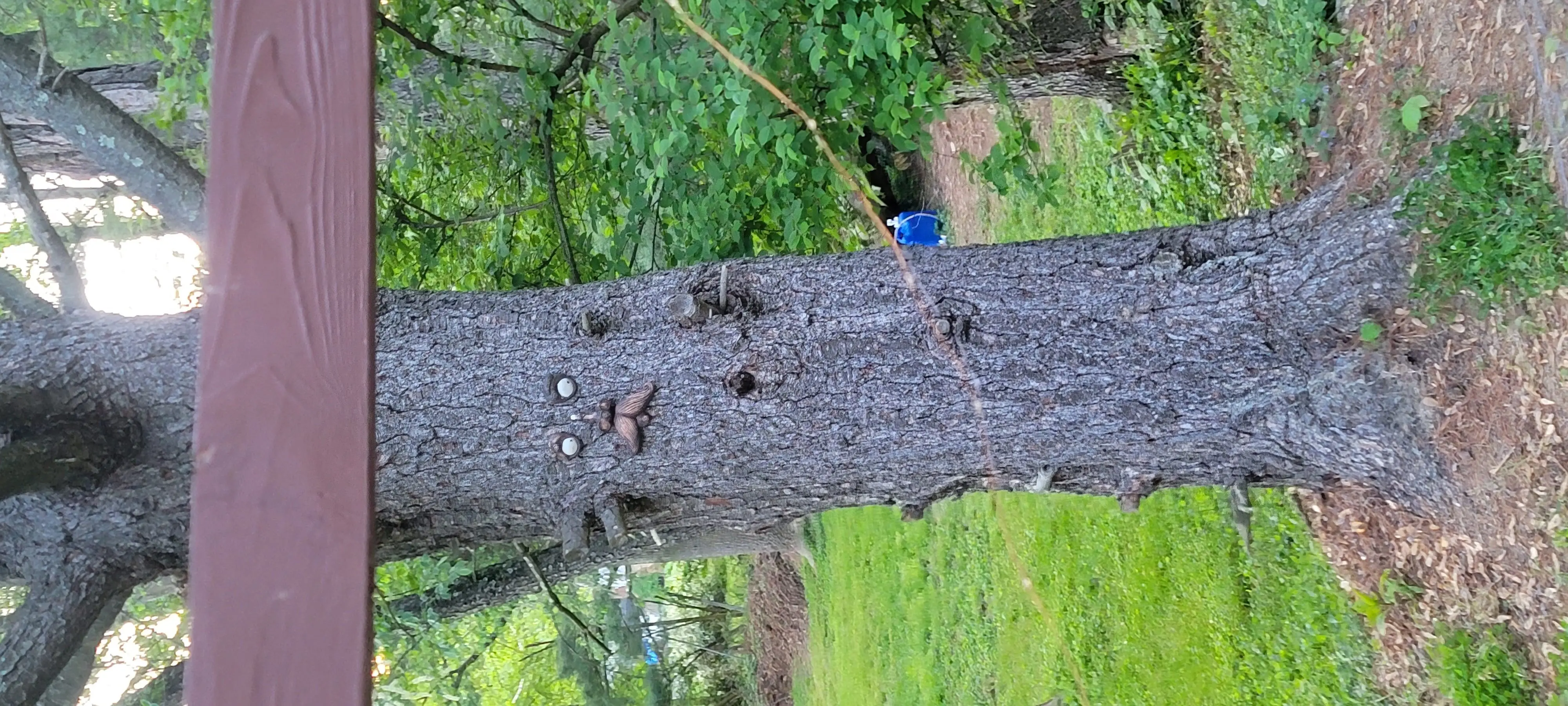 Image Outdoor/20210514_195325.webp