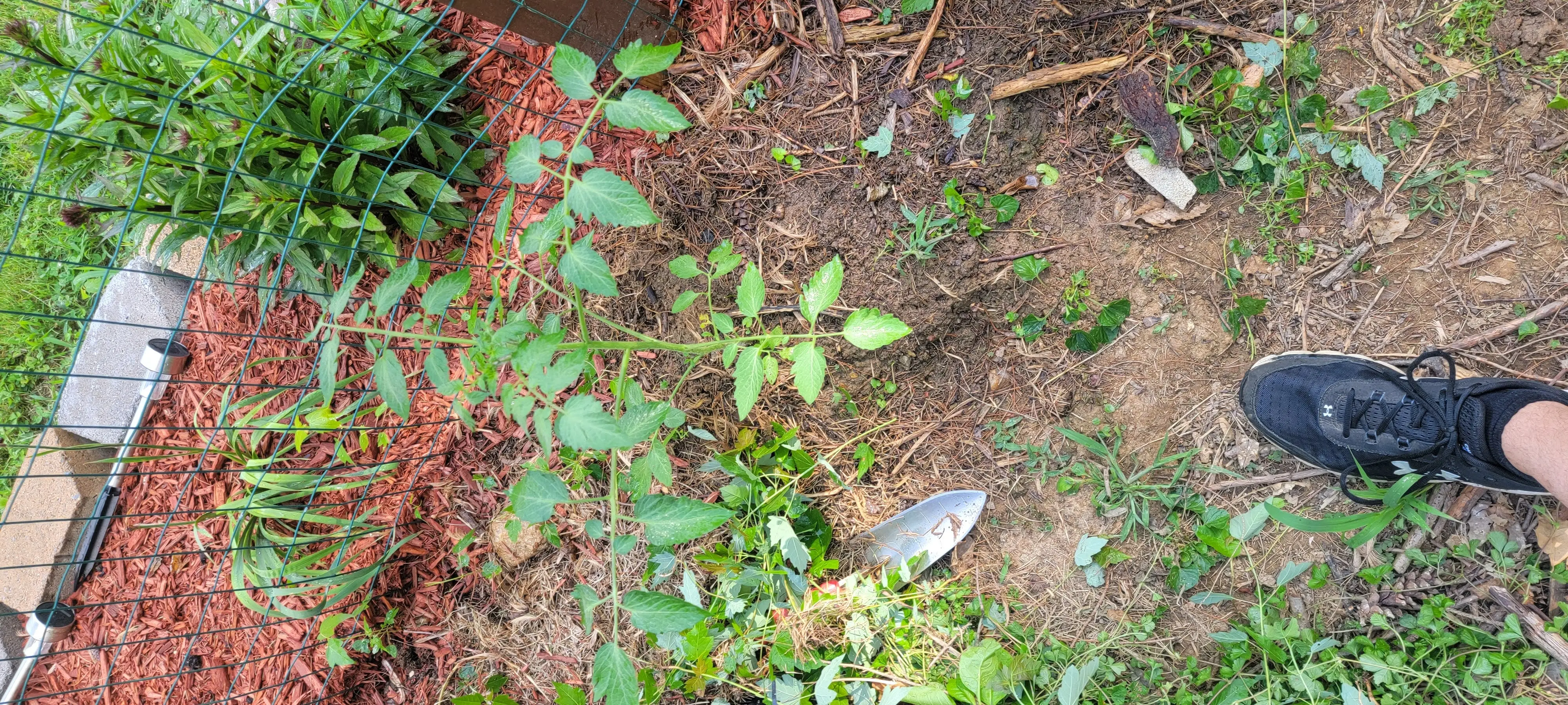 Image Outdoor/20210627_165314.webp