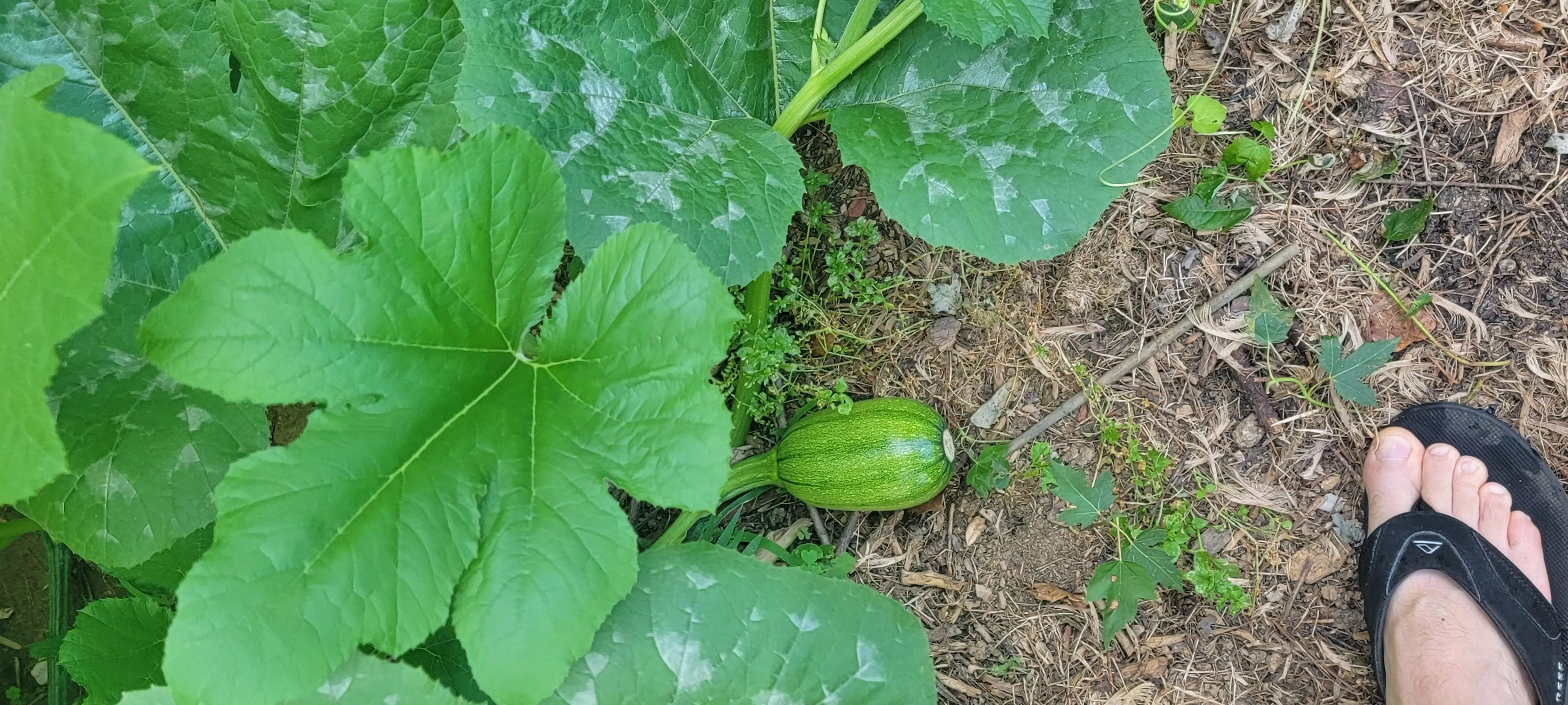 Image Outdoor/20210630_183911.webp