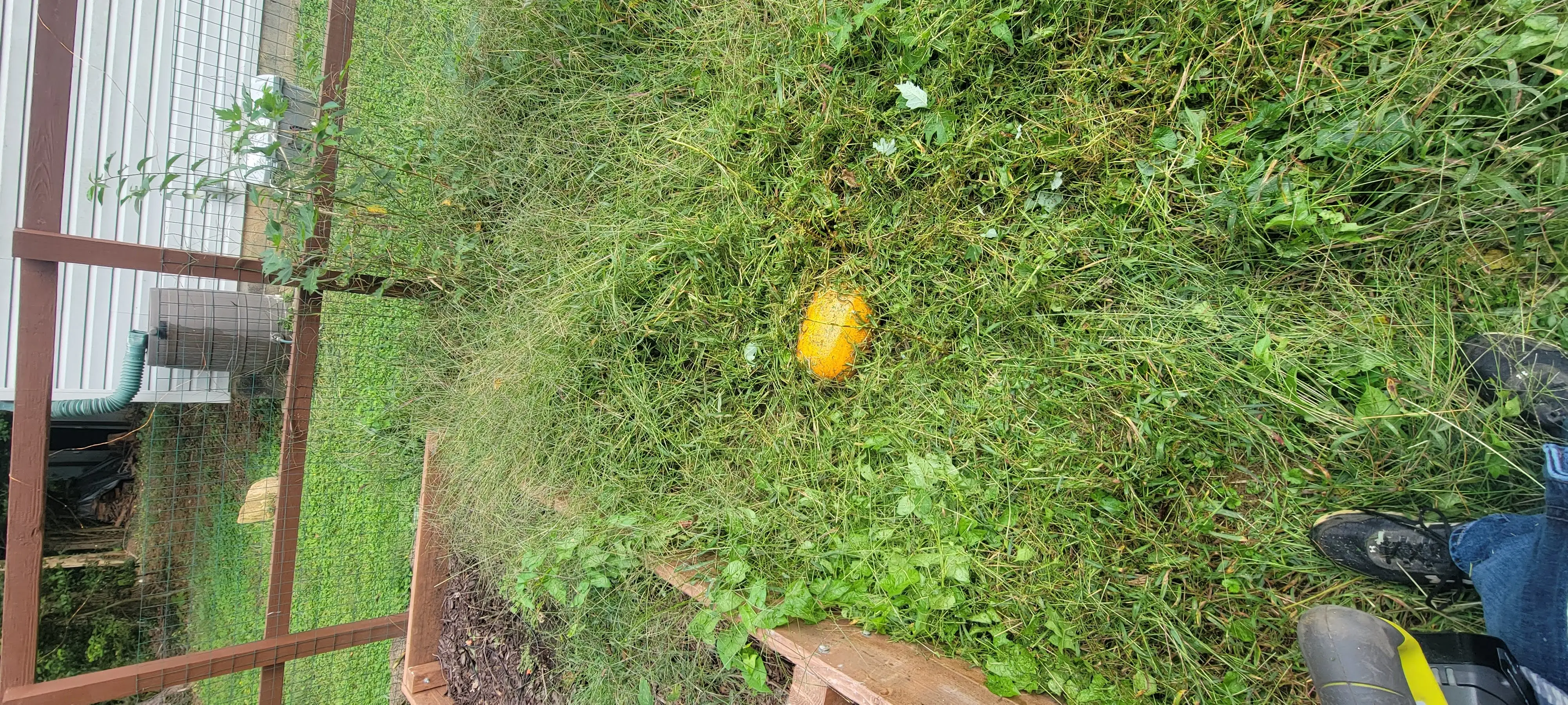 Image Outdoor/20211005_150017.webp