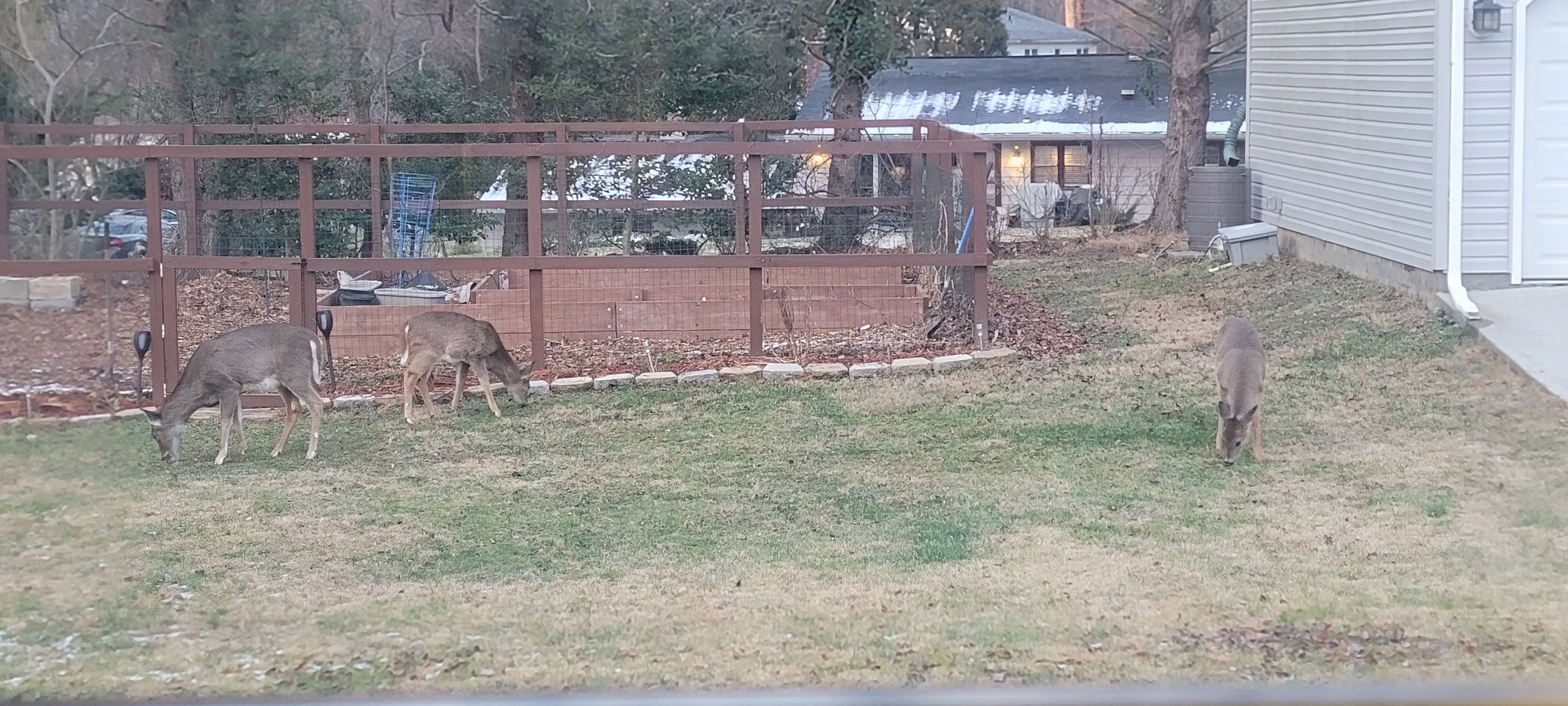 Image Outdoor/20220105_164116.webp