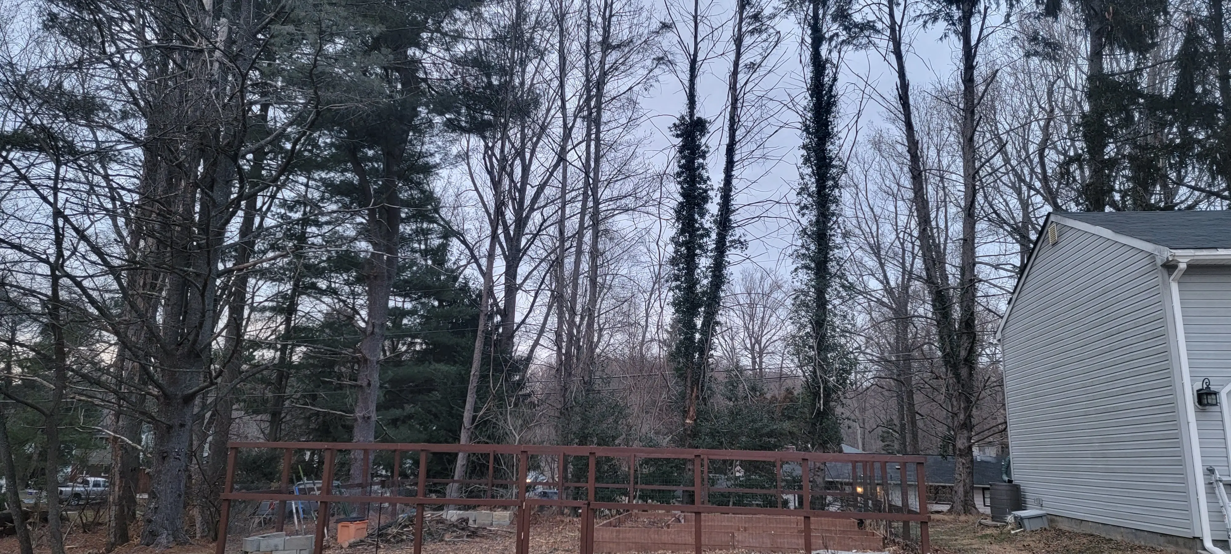 Image Outdoor/20220121_170355.webp