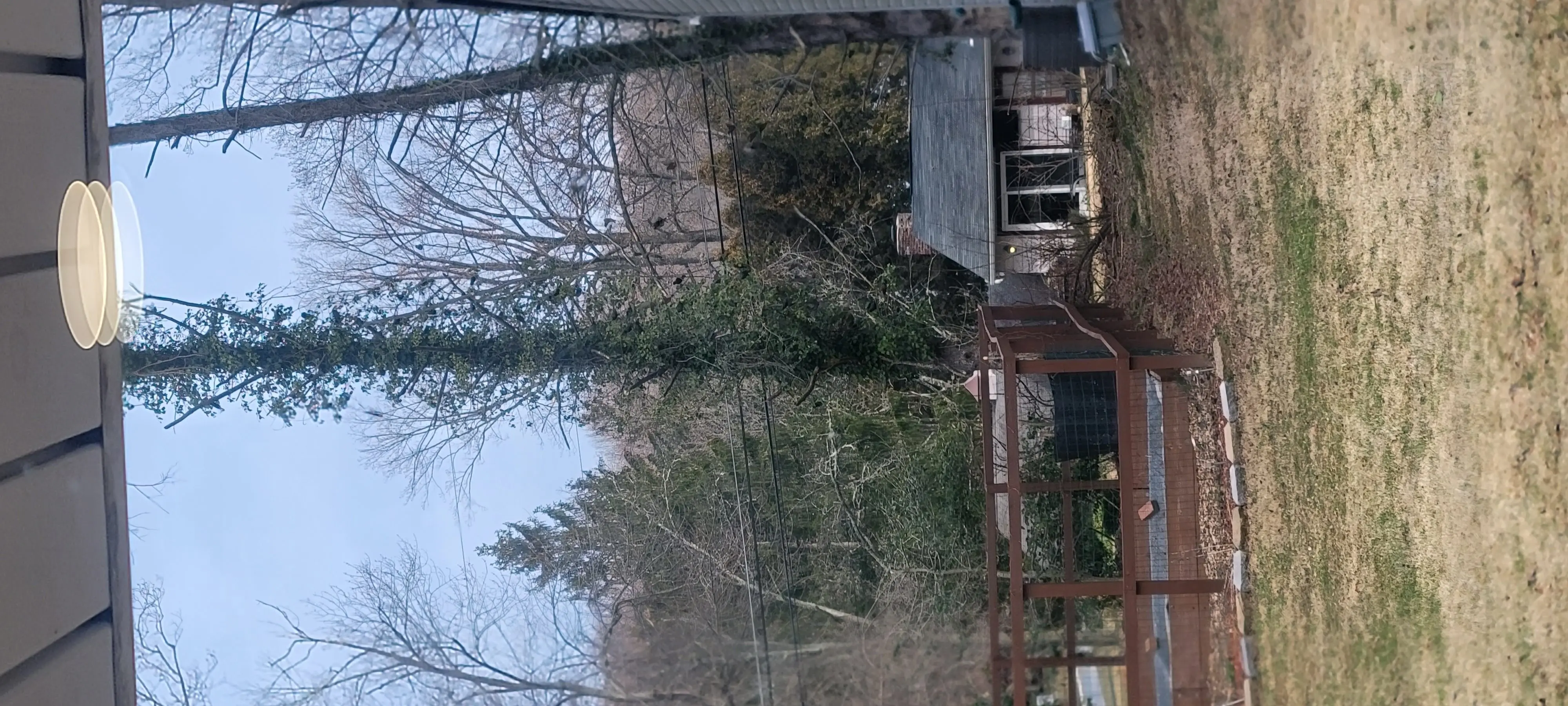 Image Outdoor/20220226_090355.webp