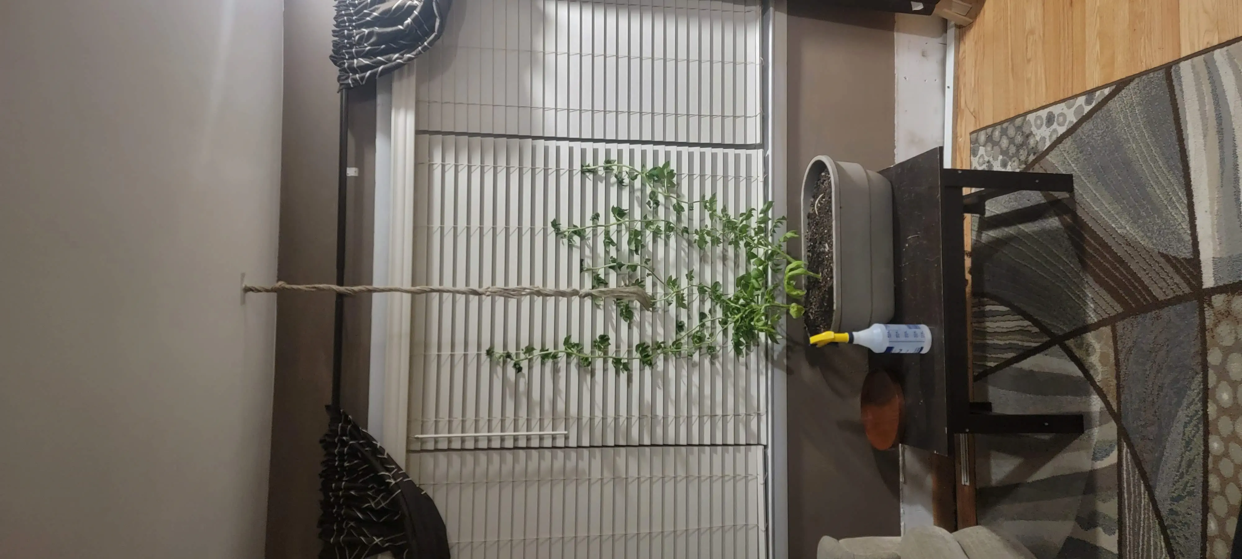 Image Outdoor/20220406_000110.webp