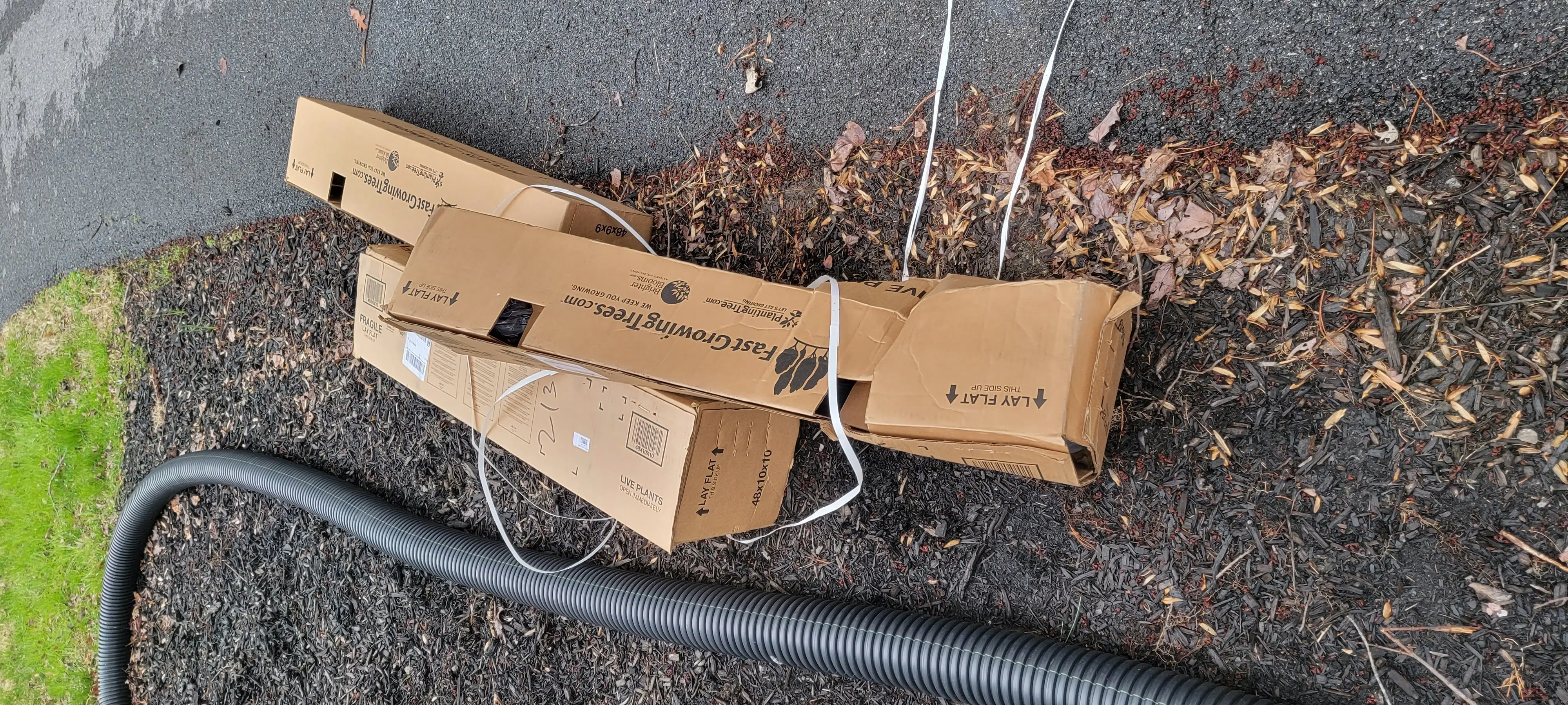 Image Outdoor/20220406_161046.webp