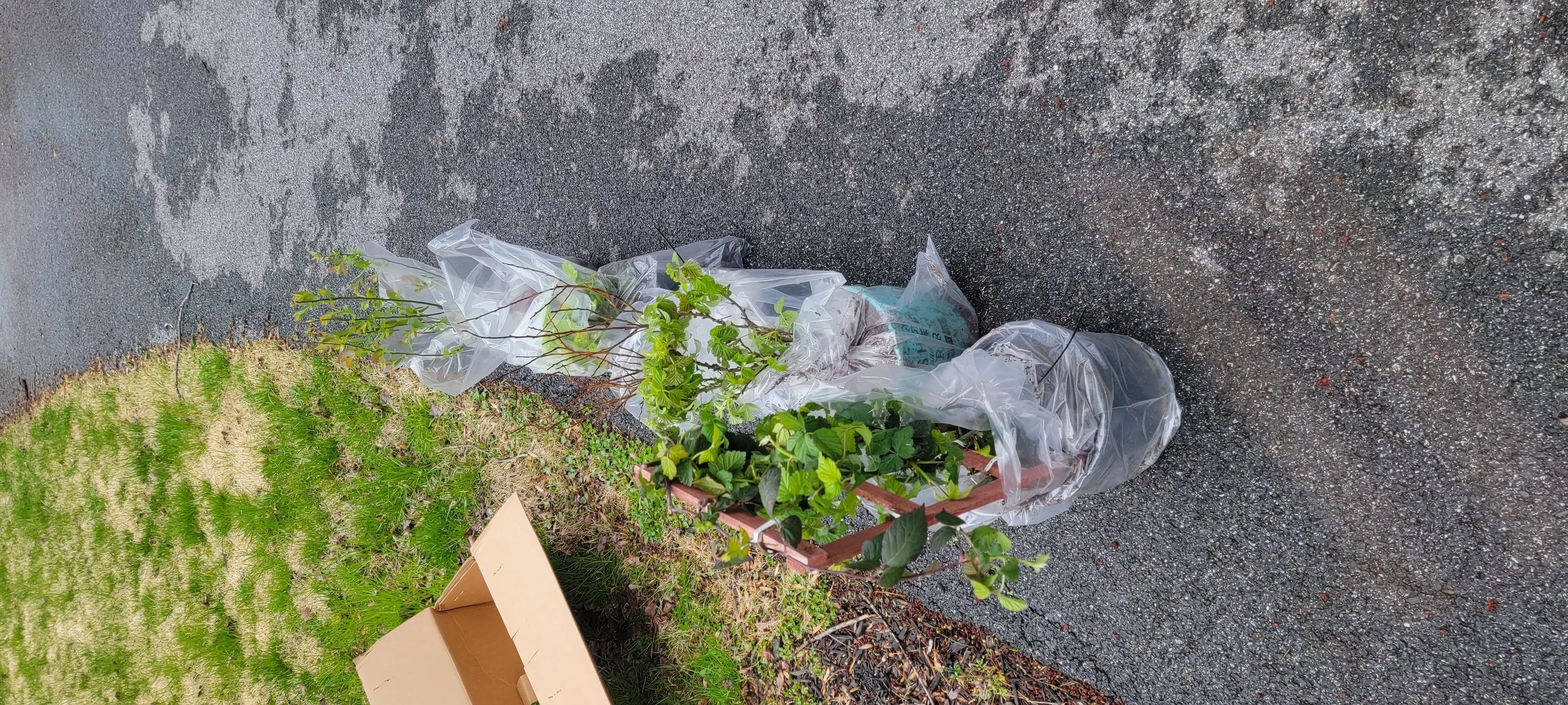 Image Outdoor/20220406_161250.webp