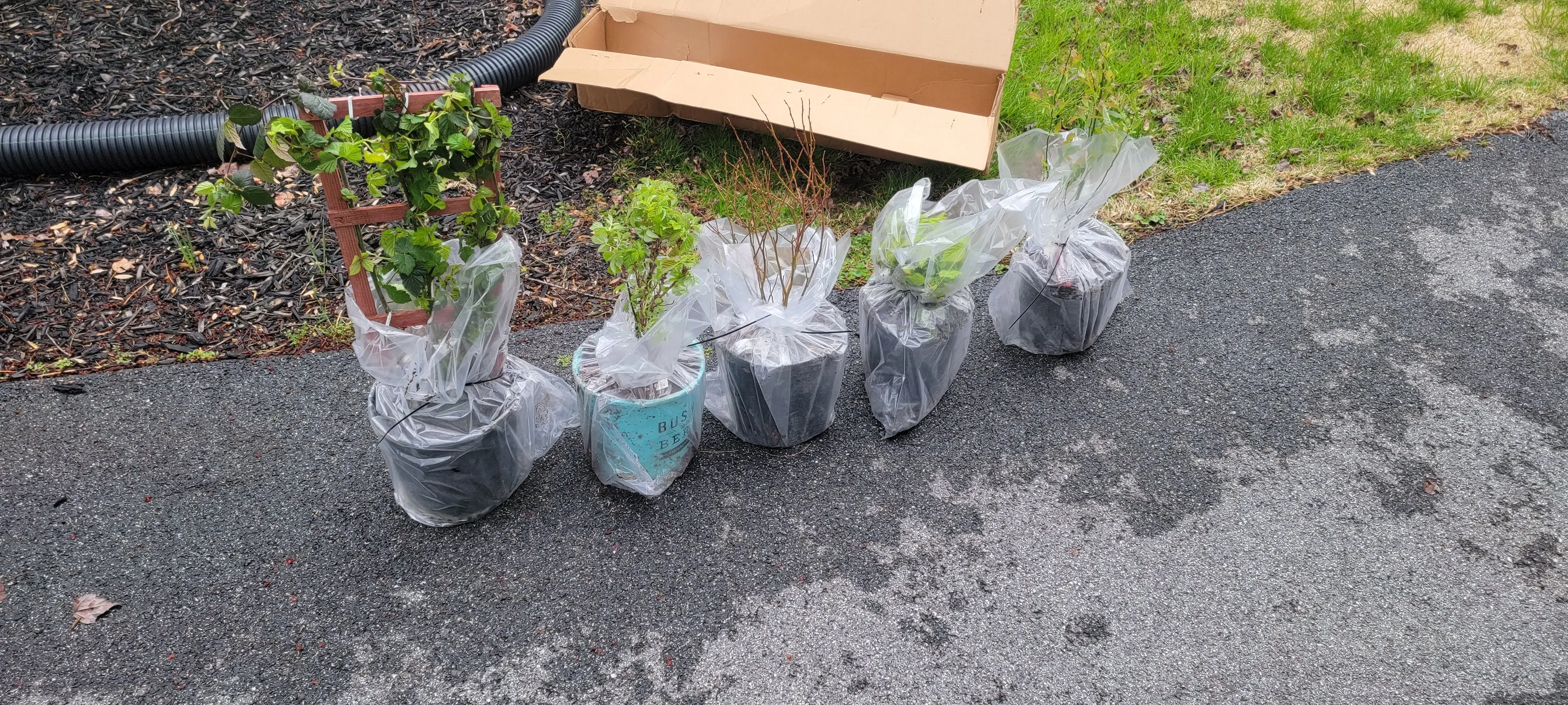 Image Outdoor/20220406_161255.webp