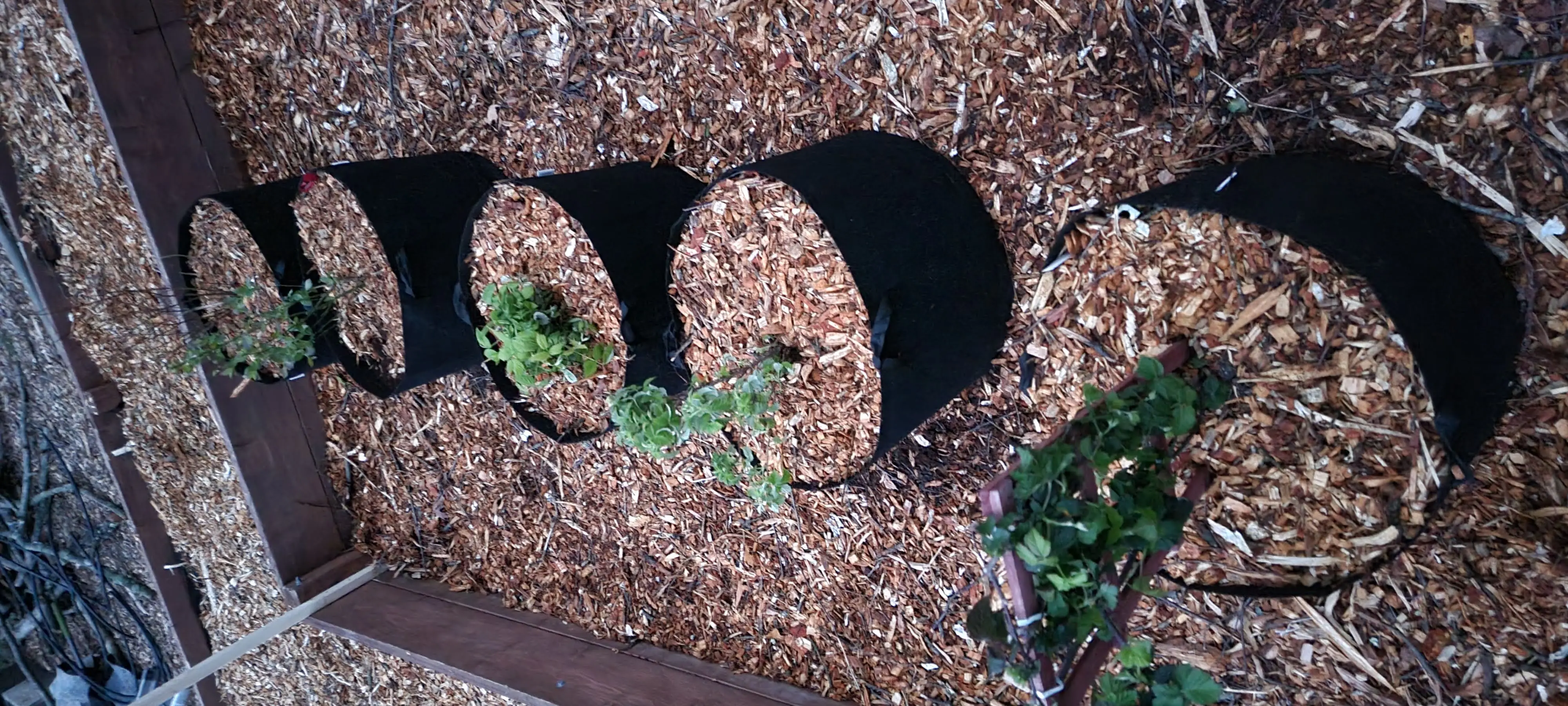 Image Outdoor/20220406_195932.webp