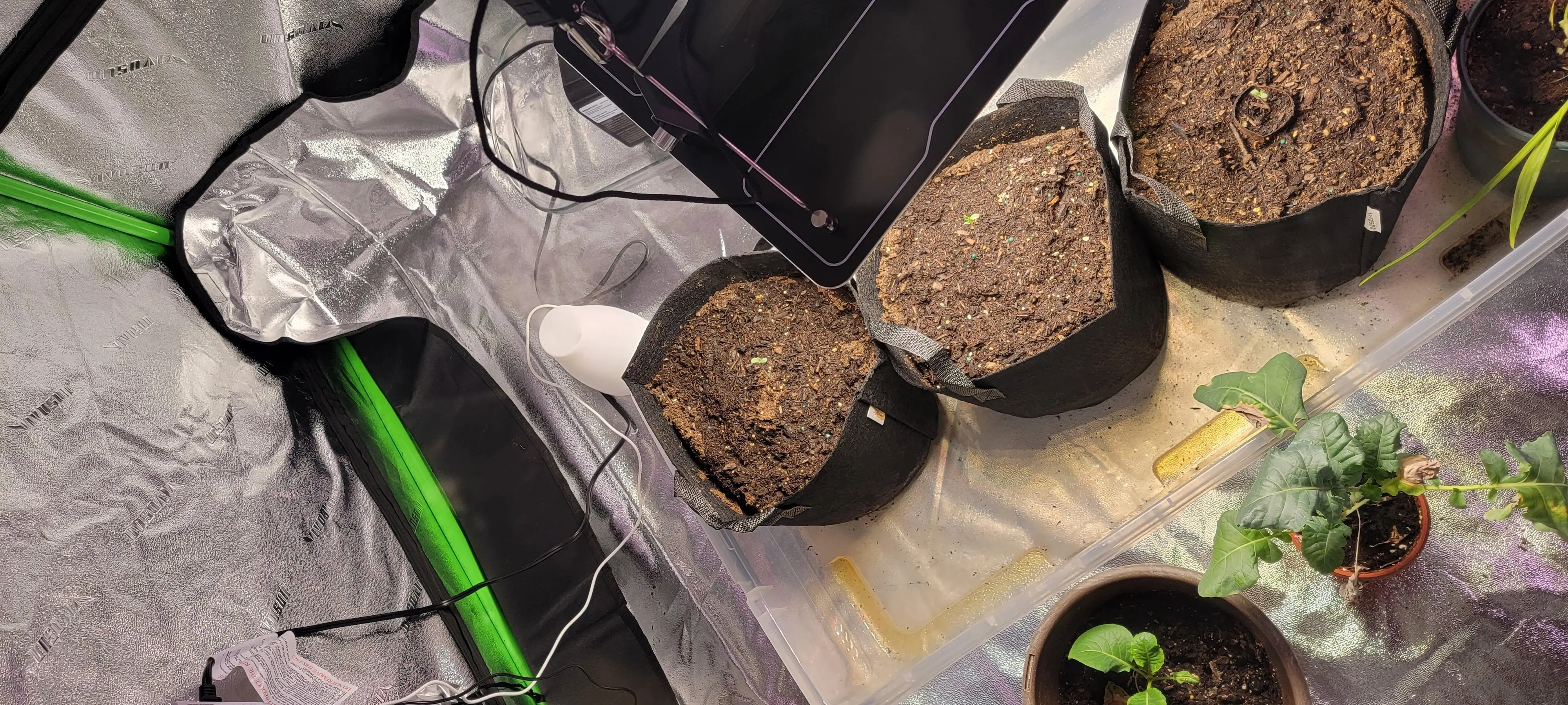 Image Outdoor/20220407_113444.webp