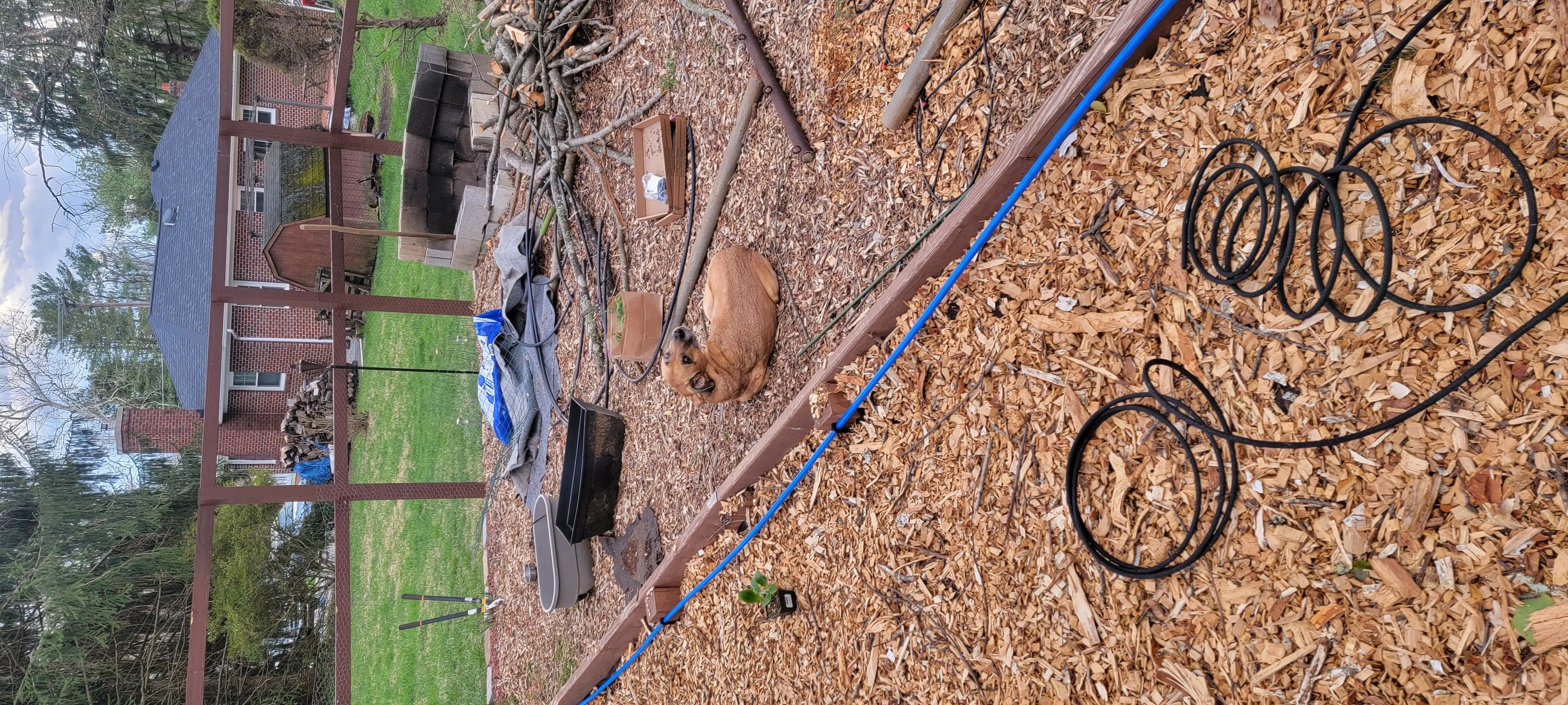 Image Outdoor/20220409_183013.webp