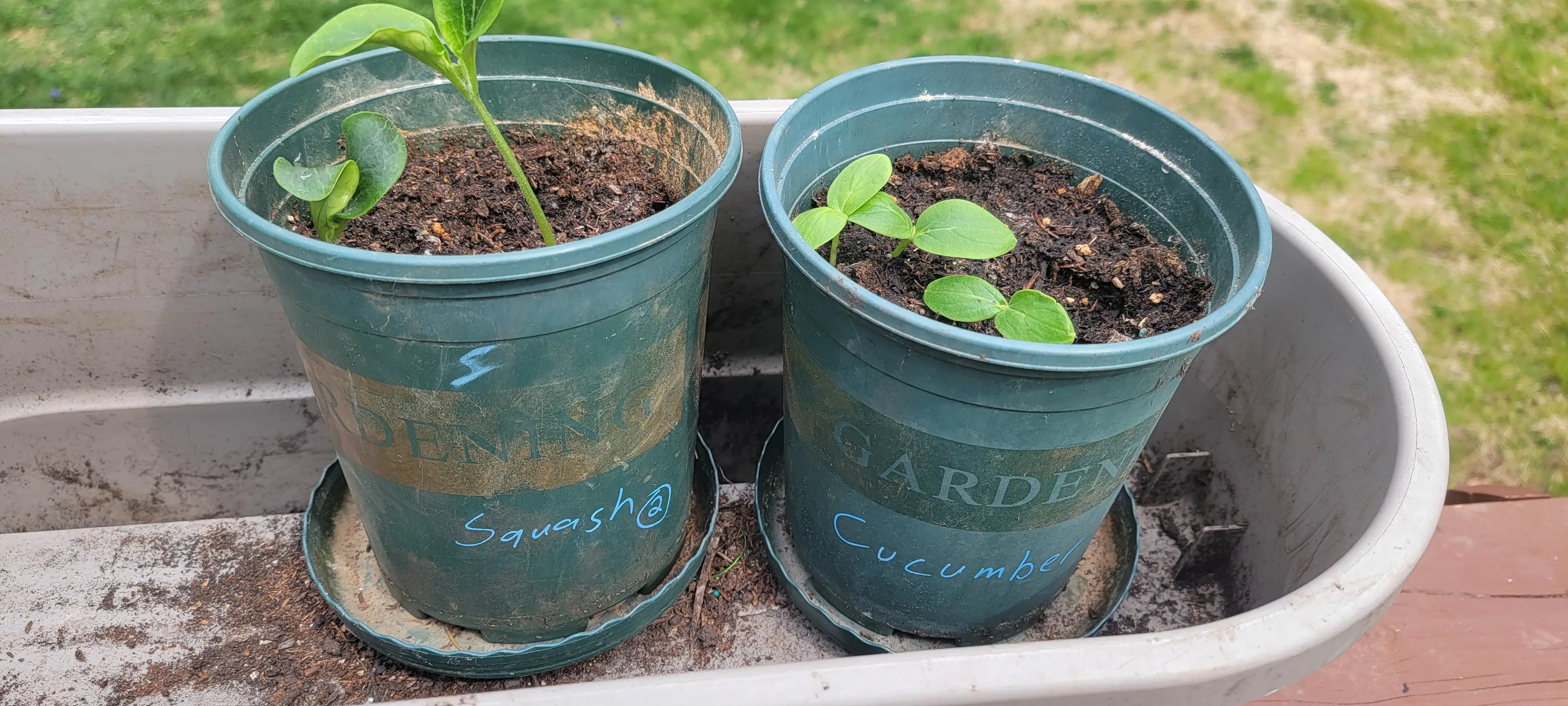 Image Outdoor/20220413_113252.webp