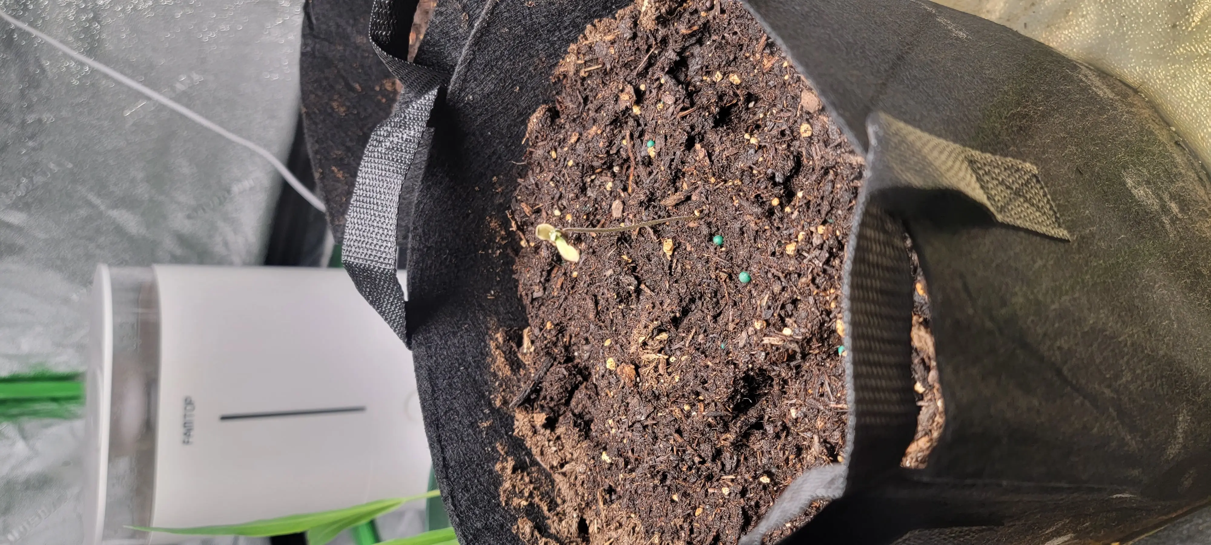 Image Outdoor/20220414_152838.webp