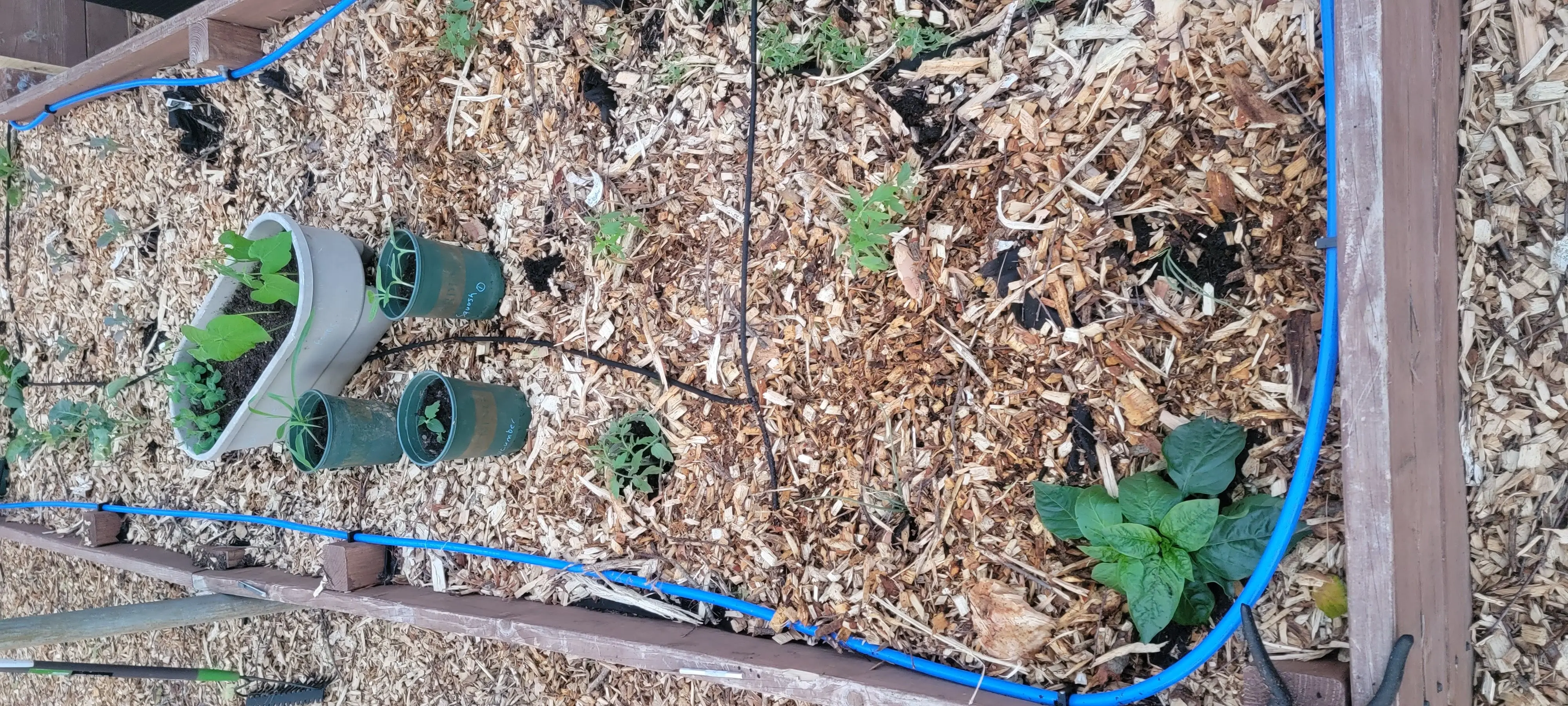 Image Outdoor/20220420_195143.webp