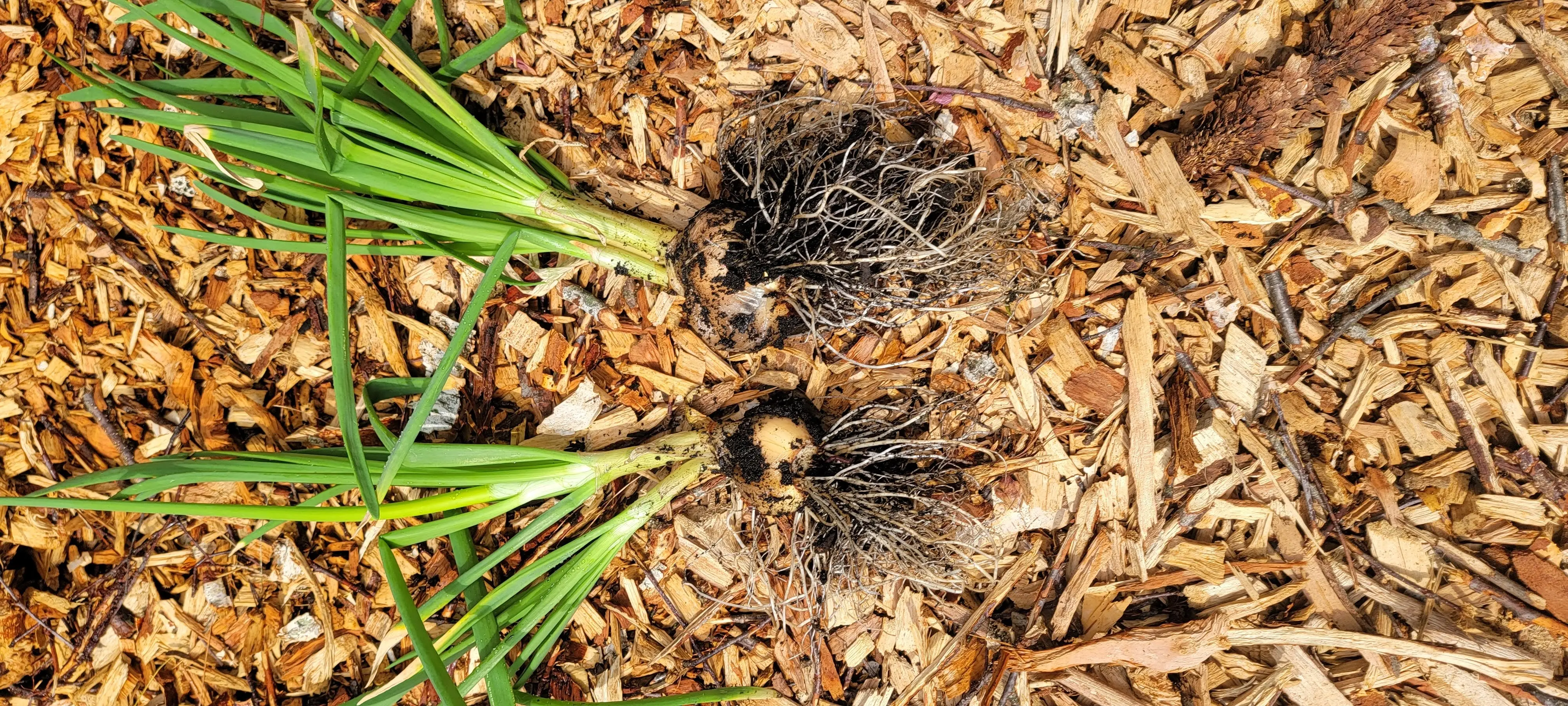 Image Outdoor/20220503_151455.webp