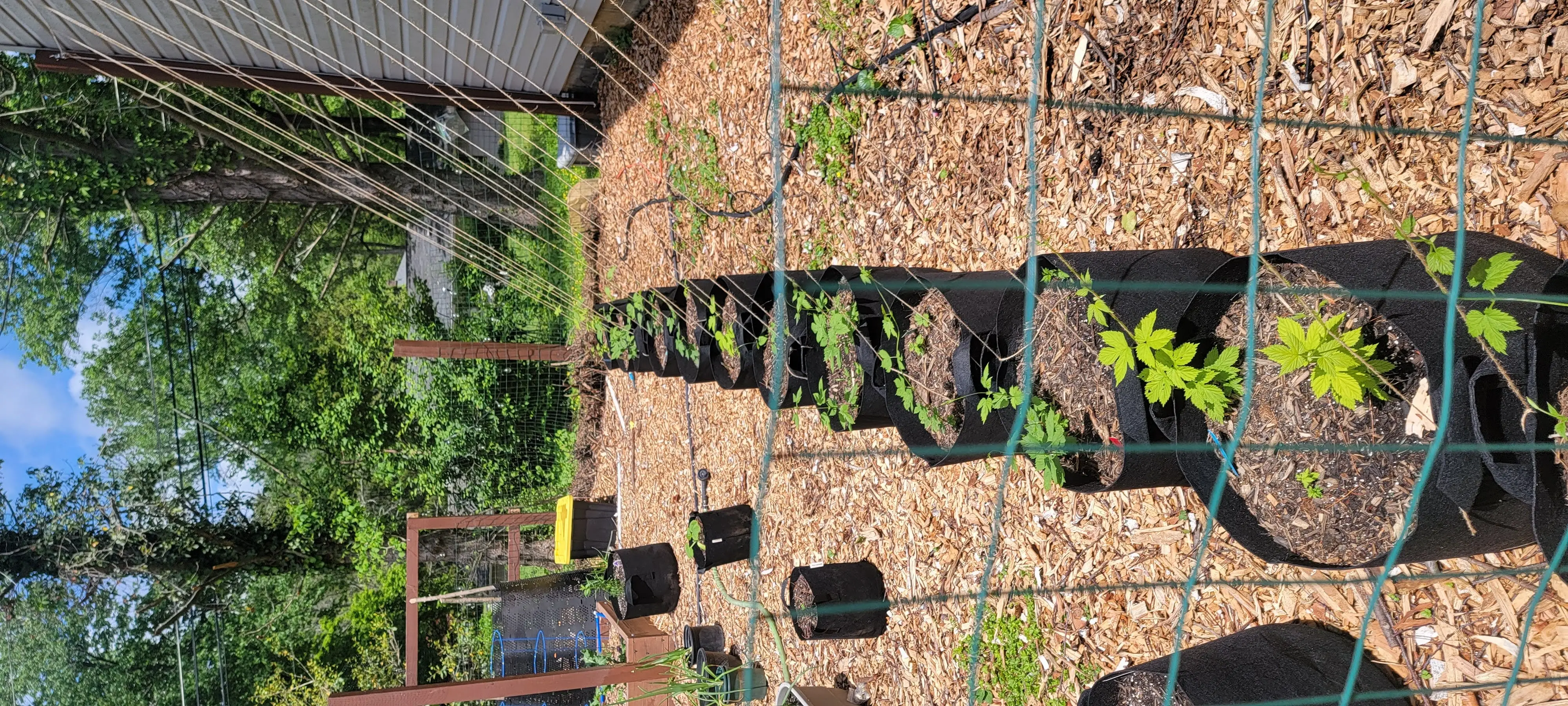 Image Outdoor/20220515_130001.webp