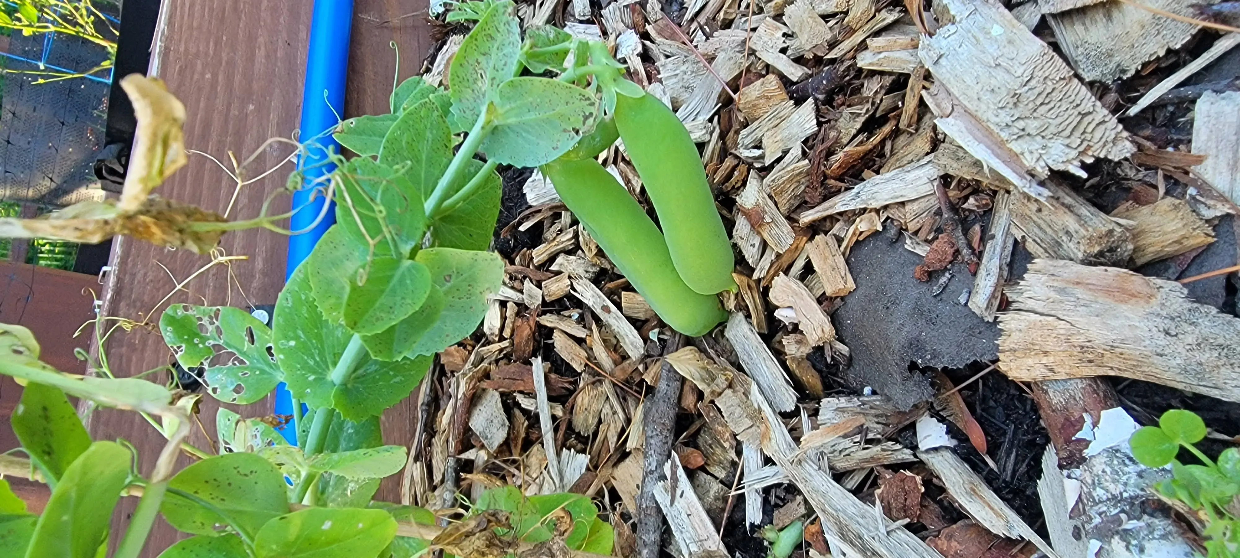 Image Outdoor/20220516_191119.webp