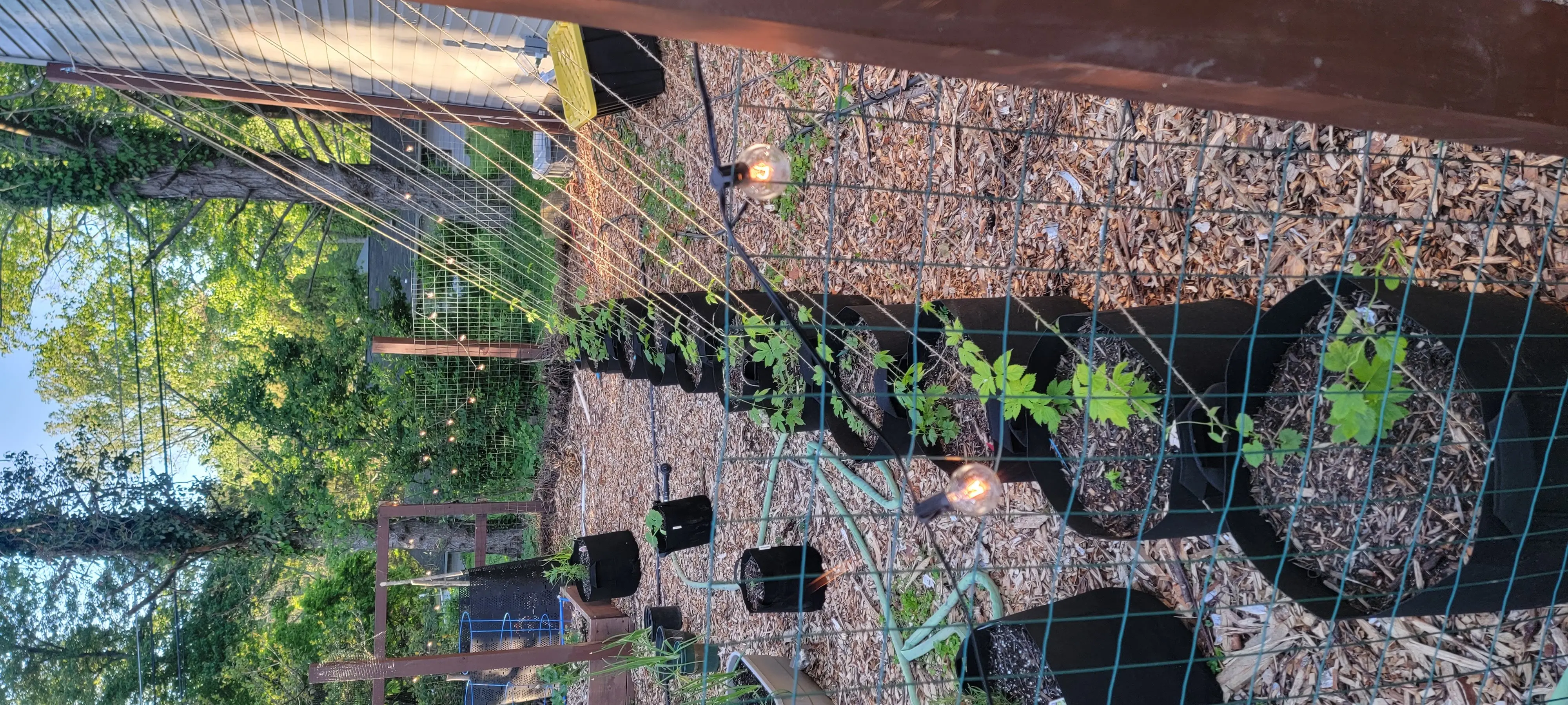 Image Outdoor/20220516_191909.webp