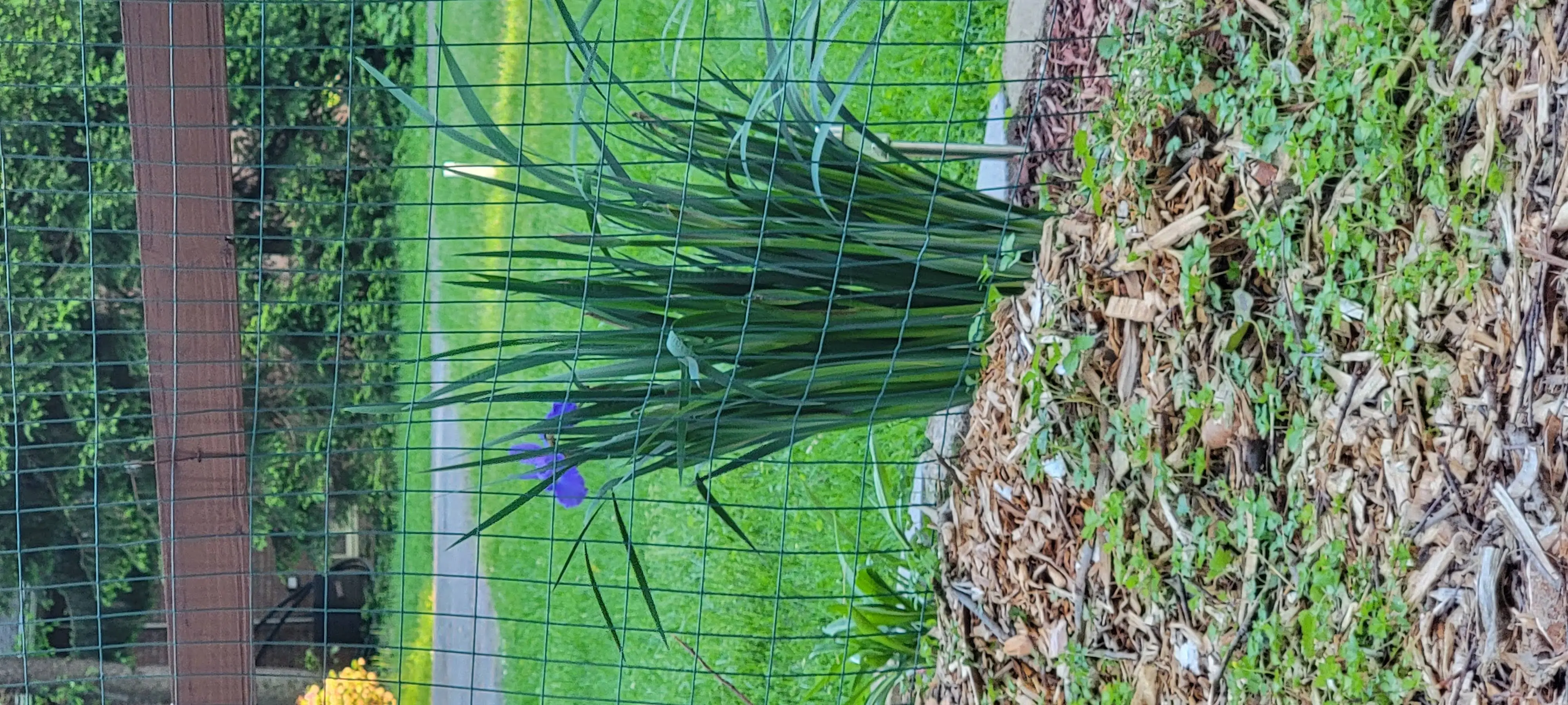 Image Outdoor/20220516_192753.webp