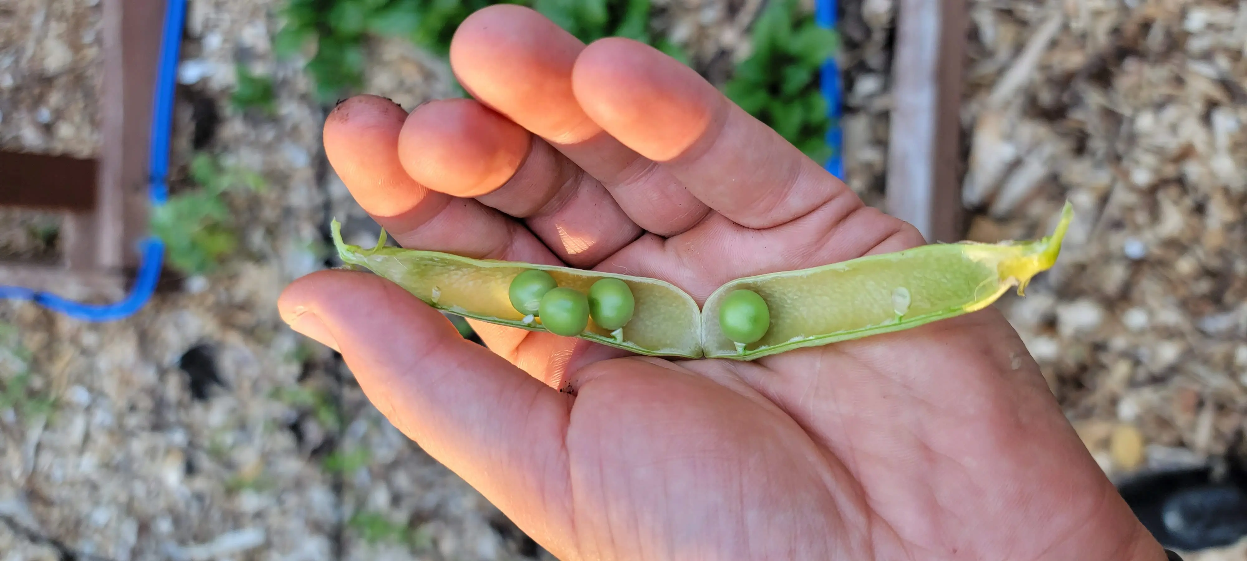 Image Outdoor/20220521_191913.webp