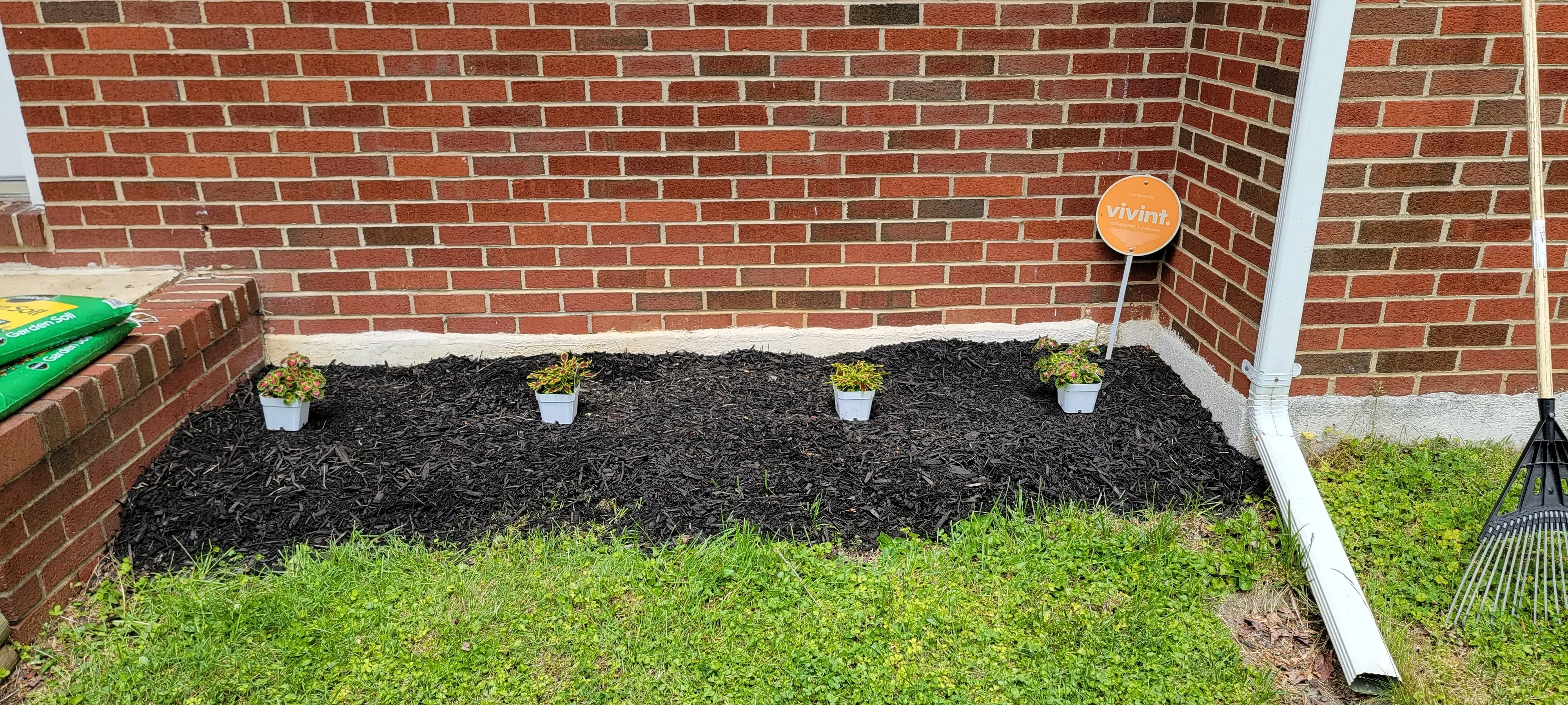 Image Outdoor/20220525_125529.webp