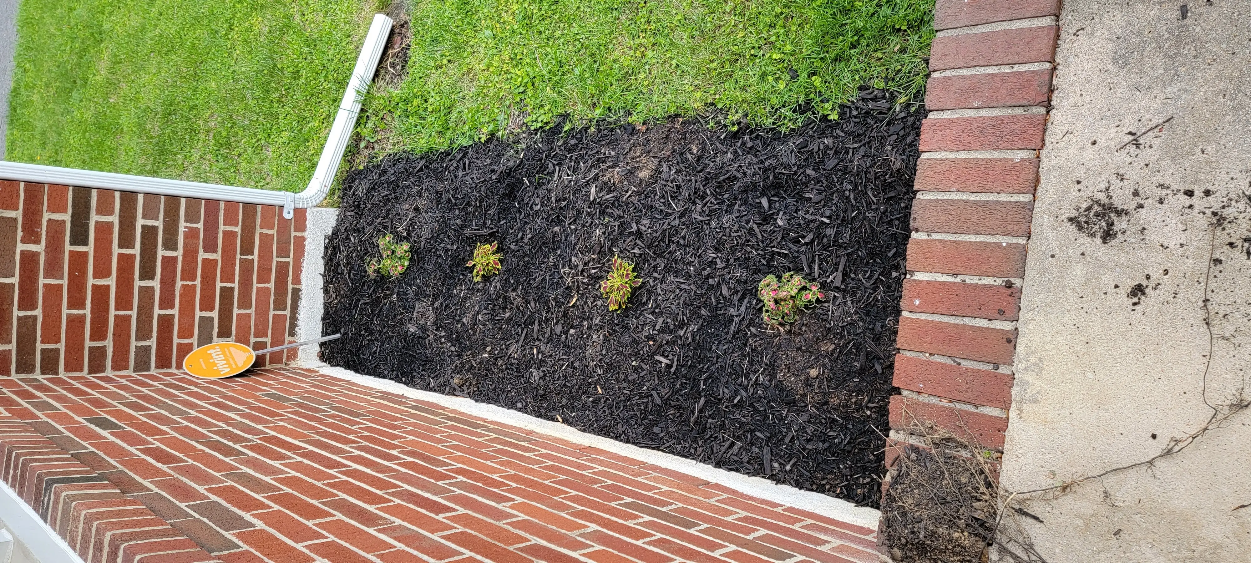 Image Outdoor/20220525_191526.webp