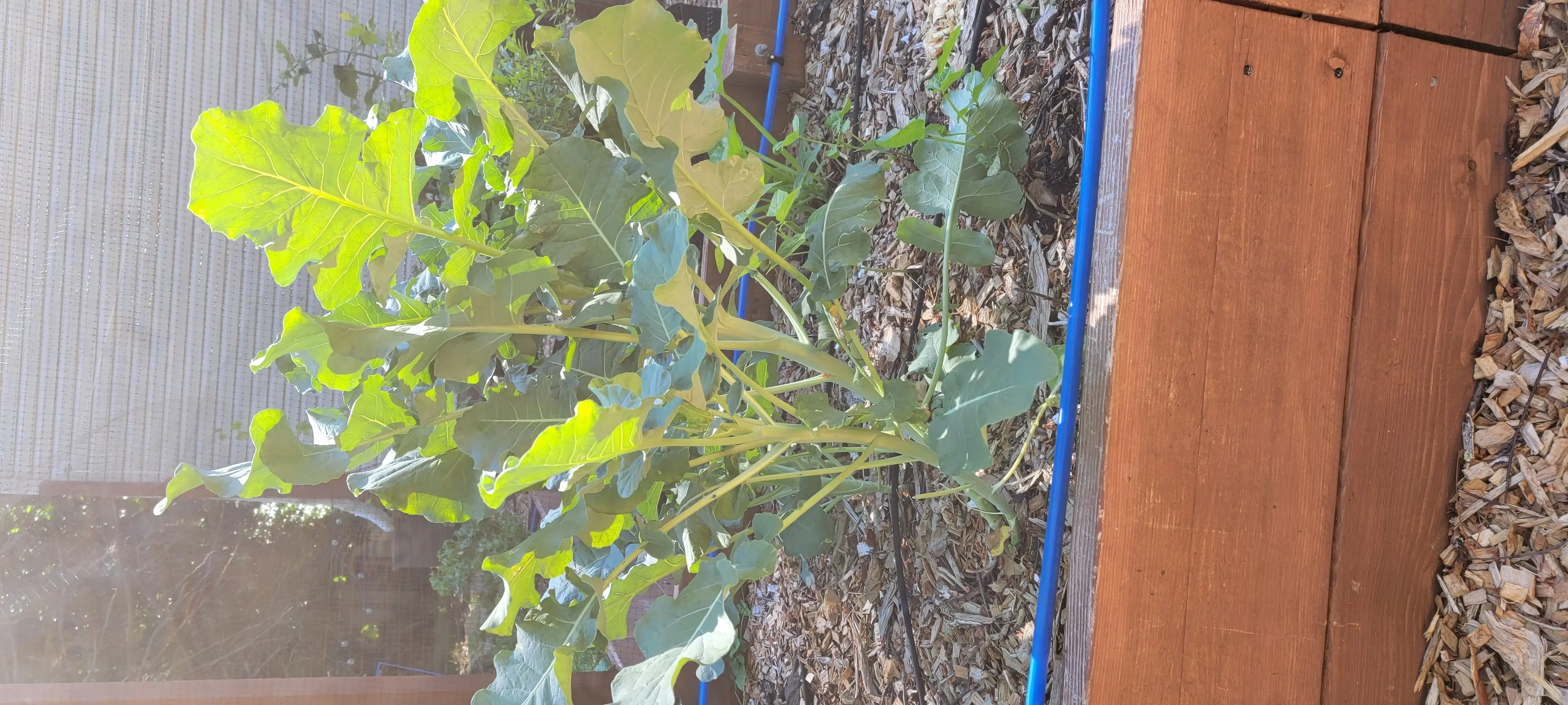 Image Outdoor/20220605_100710.webp