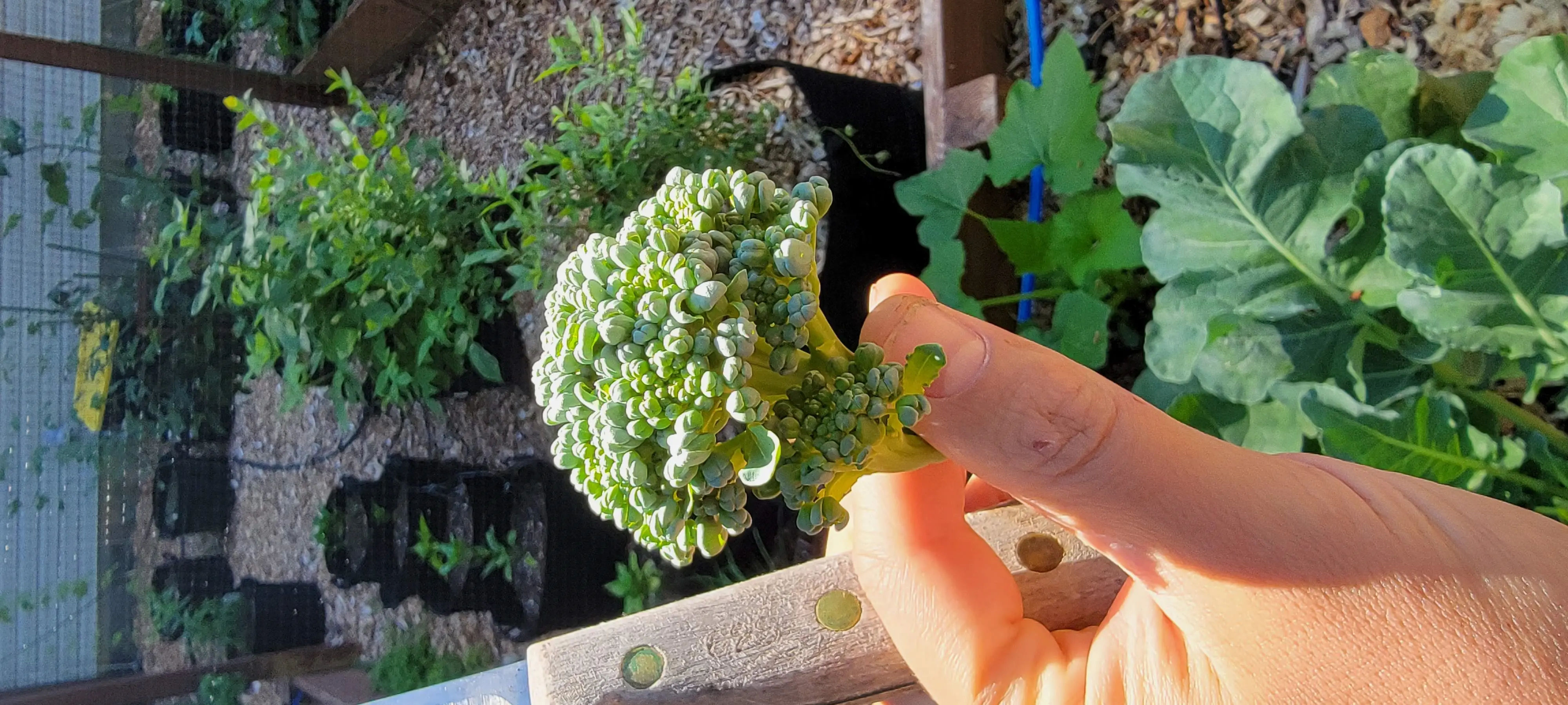 Image Outdoor/20220605_100807.webp