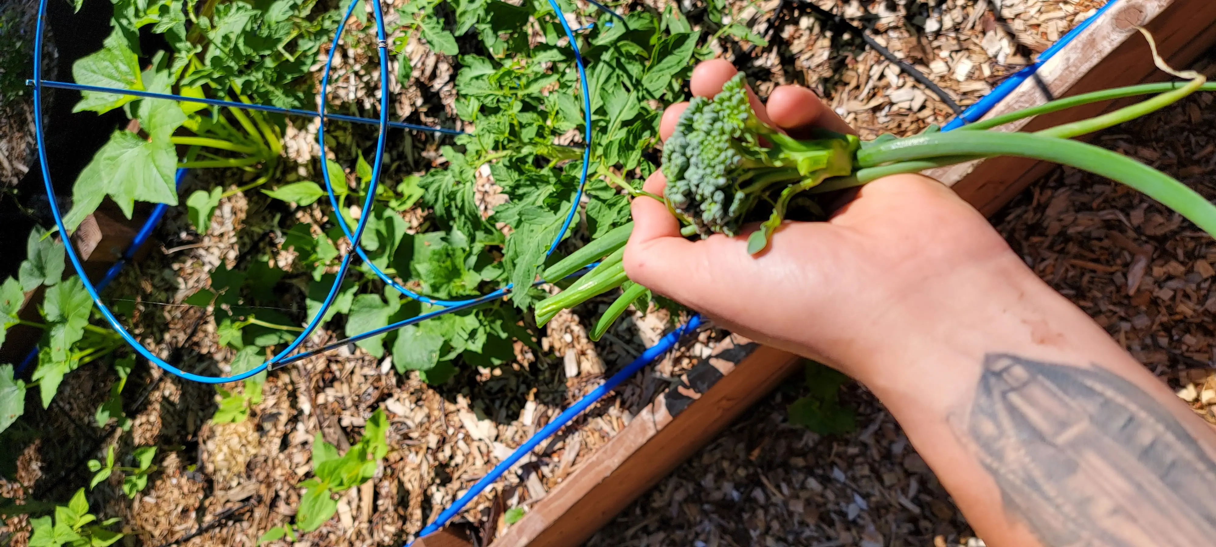 Image Outdoor/20220605_101628.webp