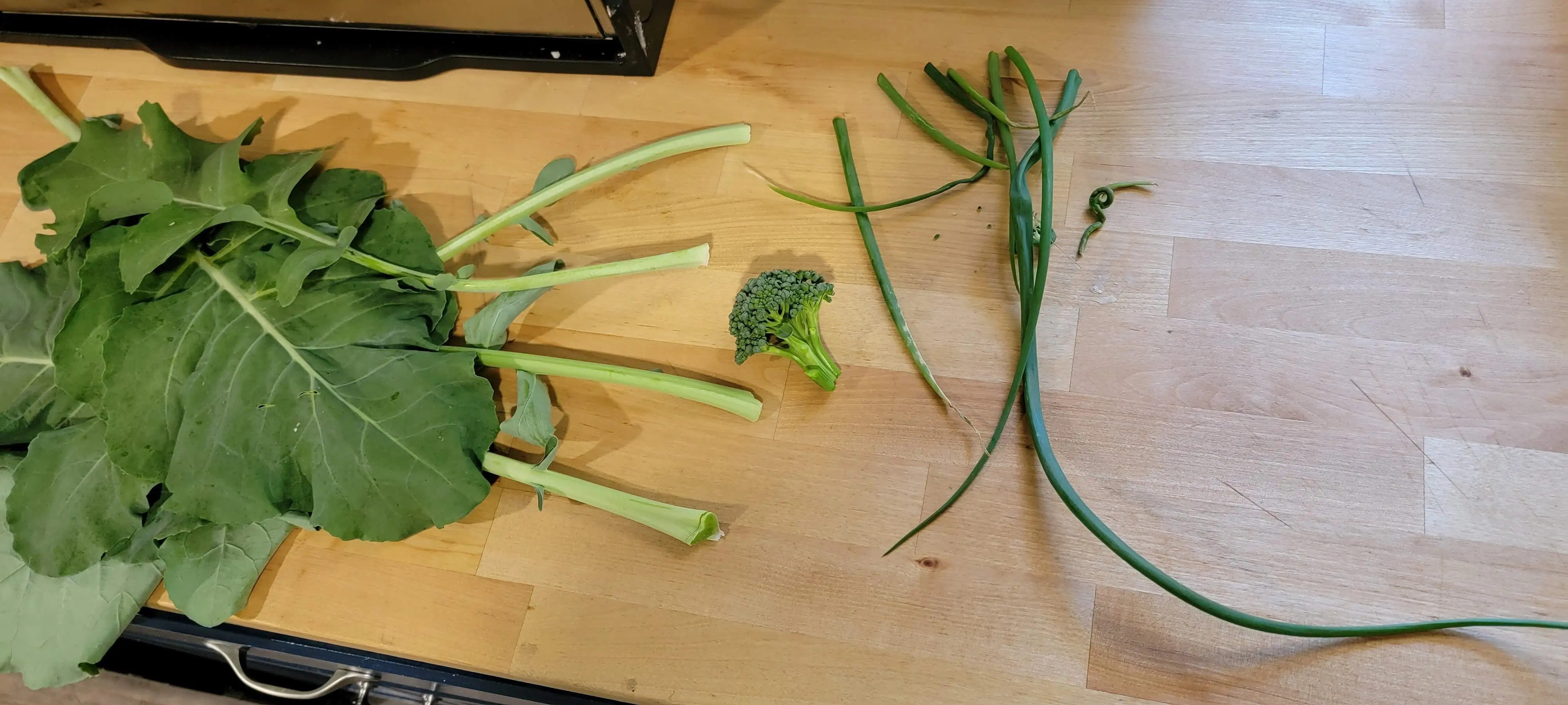 Image Outdoor/20220605_101940.webp