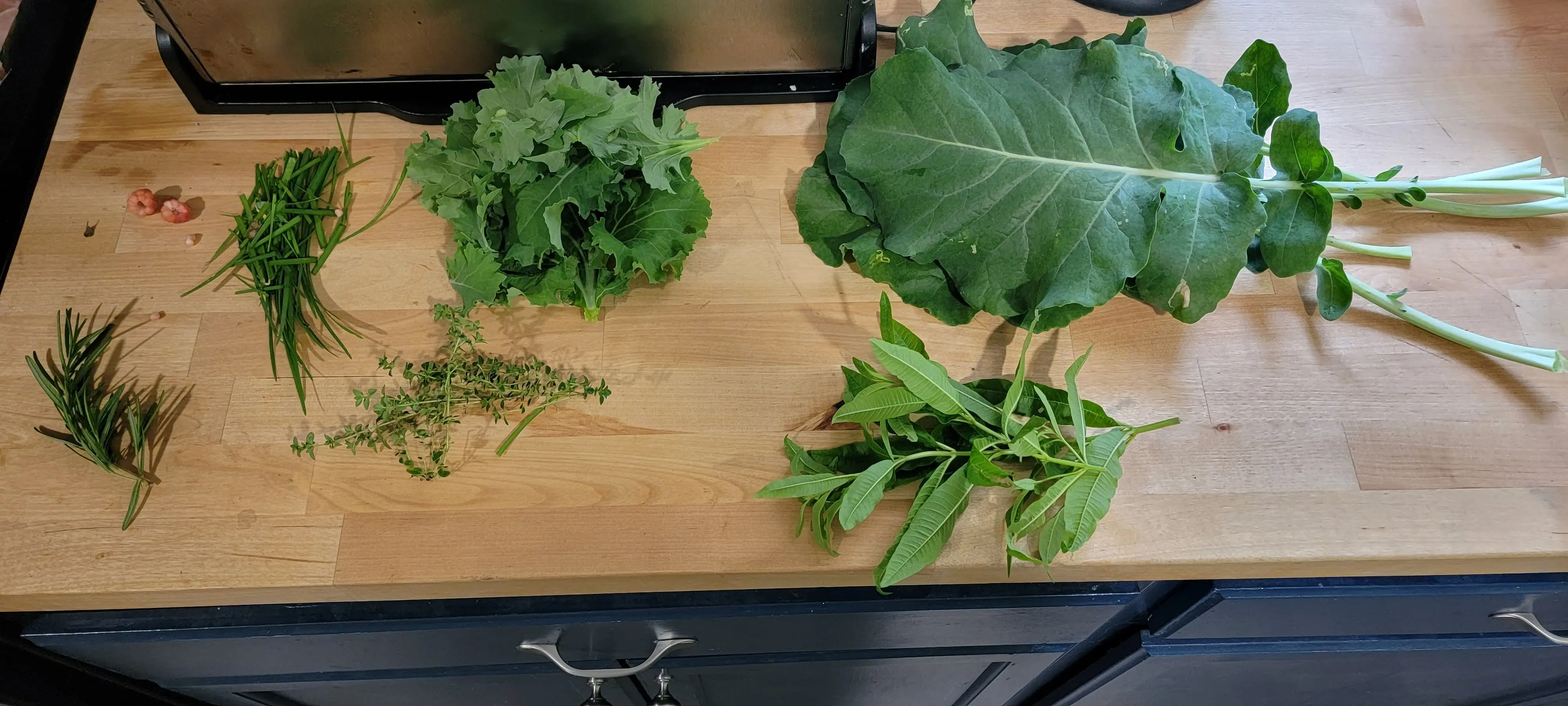 Image Outdoor/20220607_103043.webp