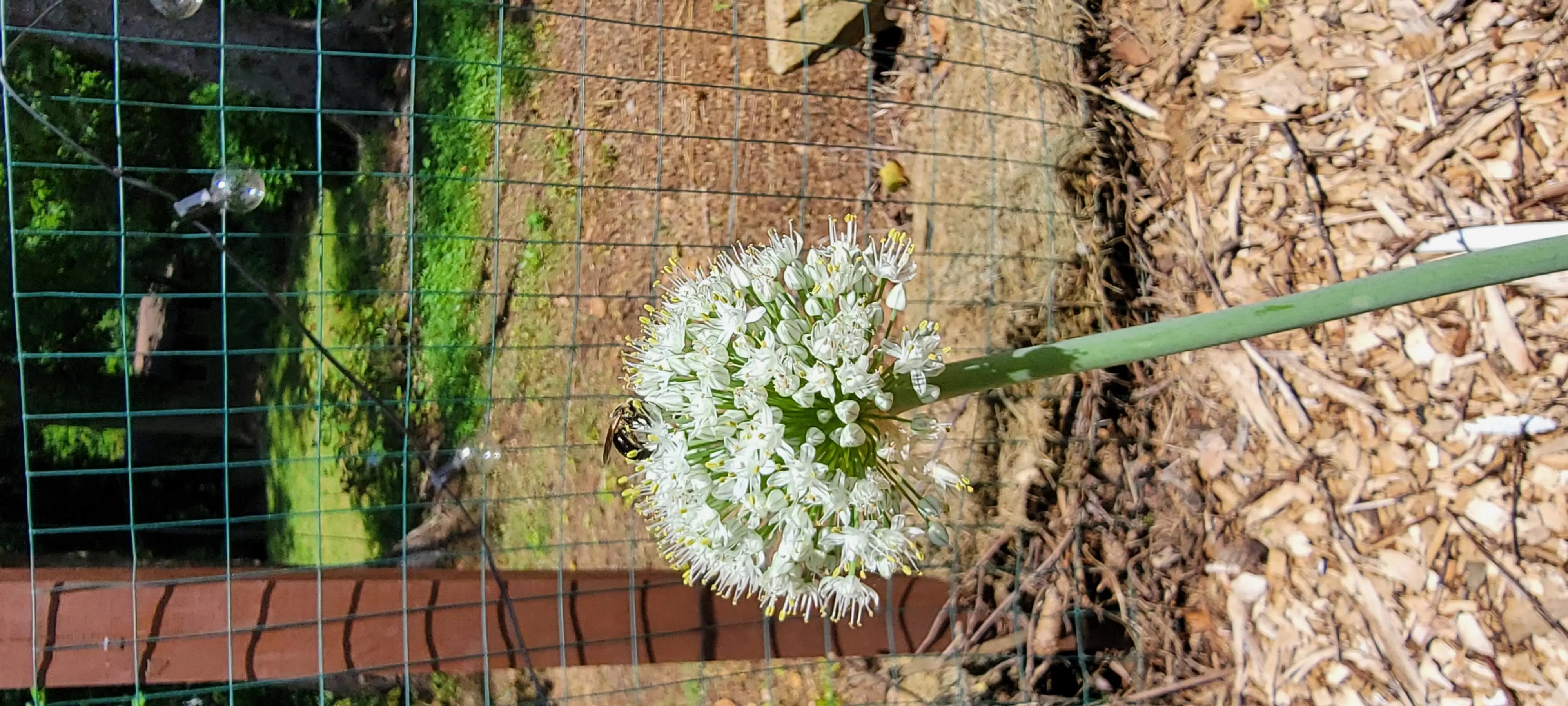 Image Outdoor/20220610_134204.webp