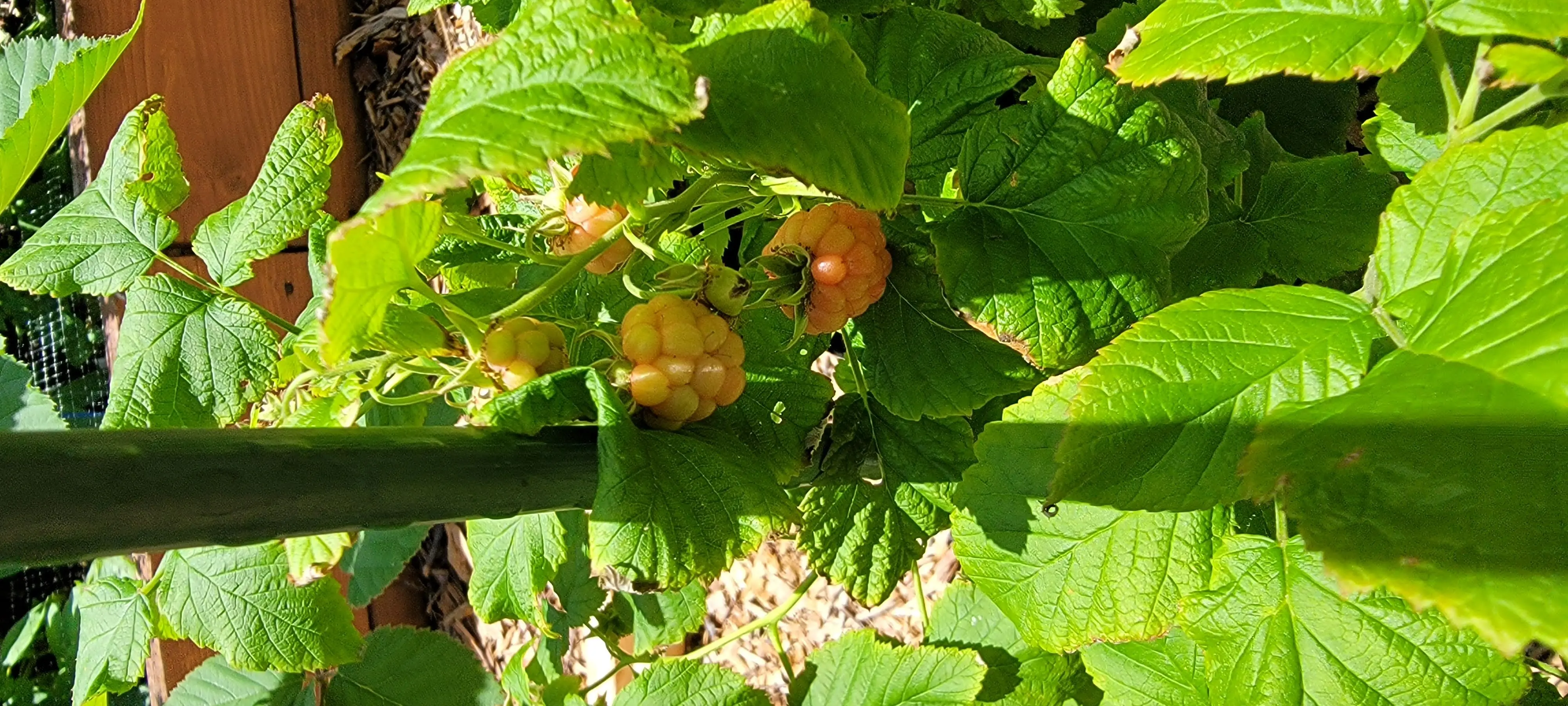 Image Outdoor/20220610_134352.webp