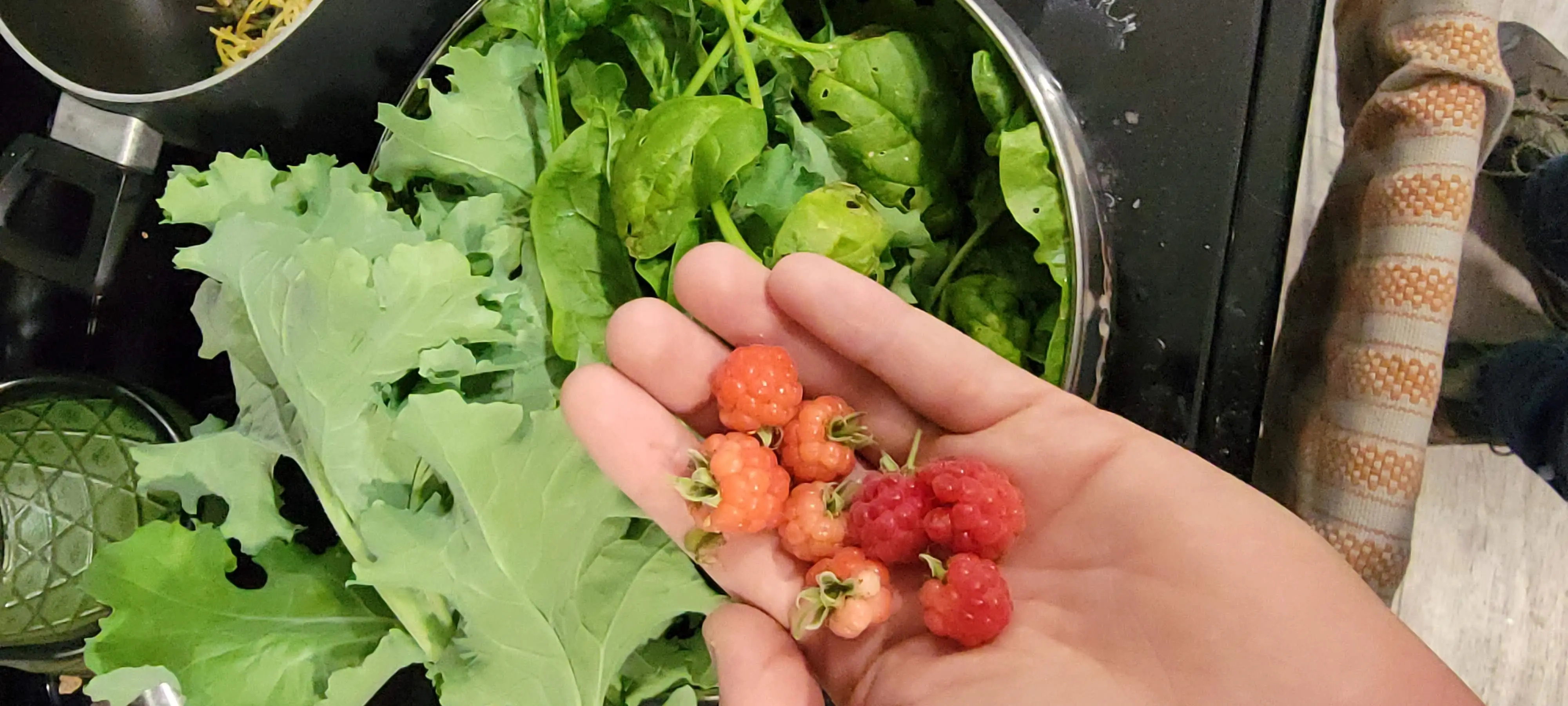 Image Outdoor/20220612_155855.webp