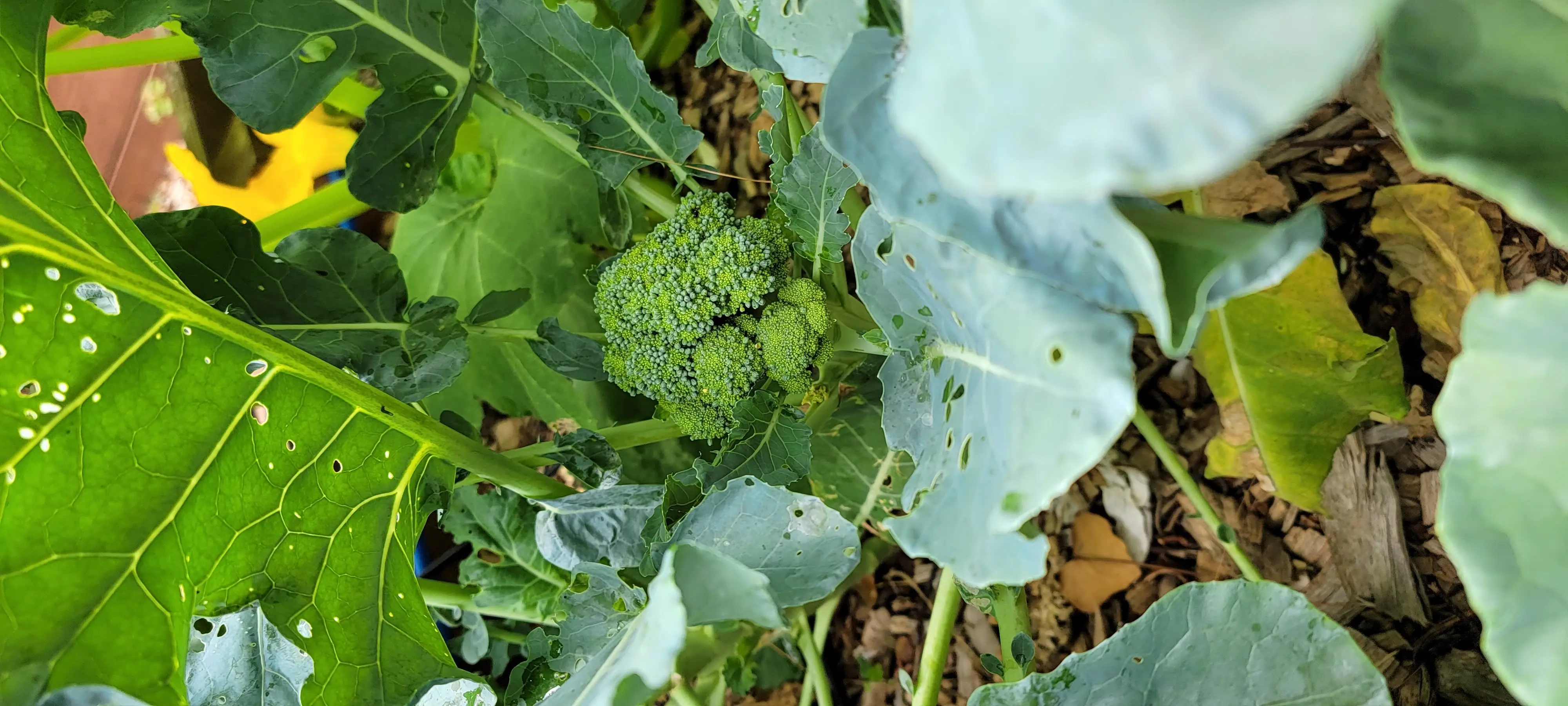 Image Outdoor/20220622_101716.webp