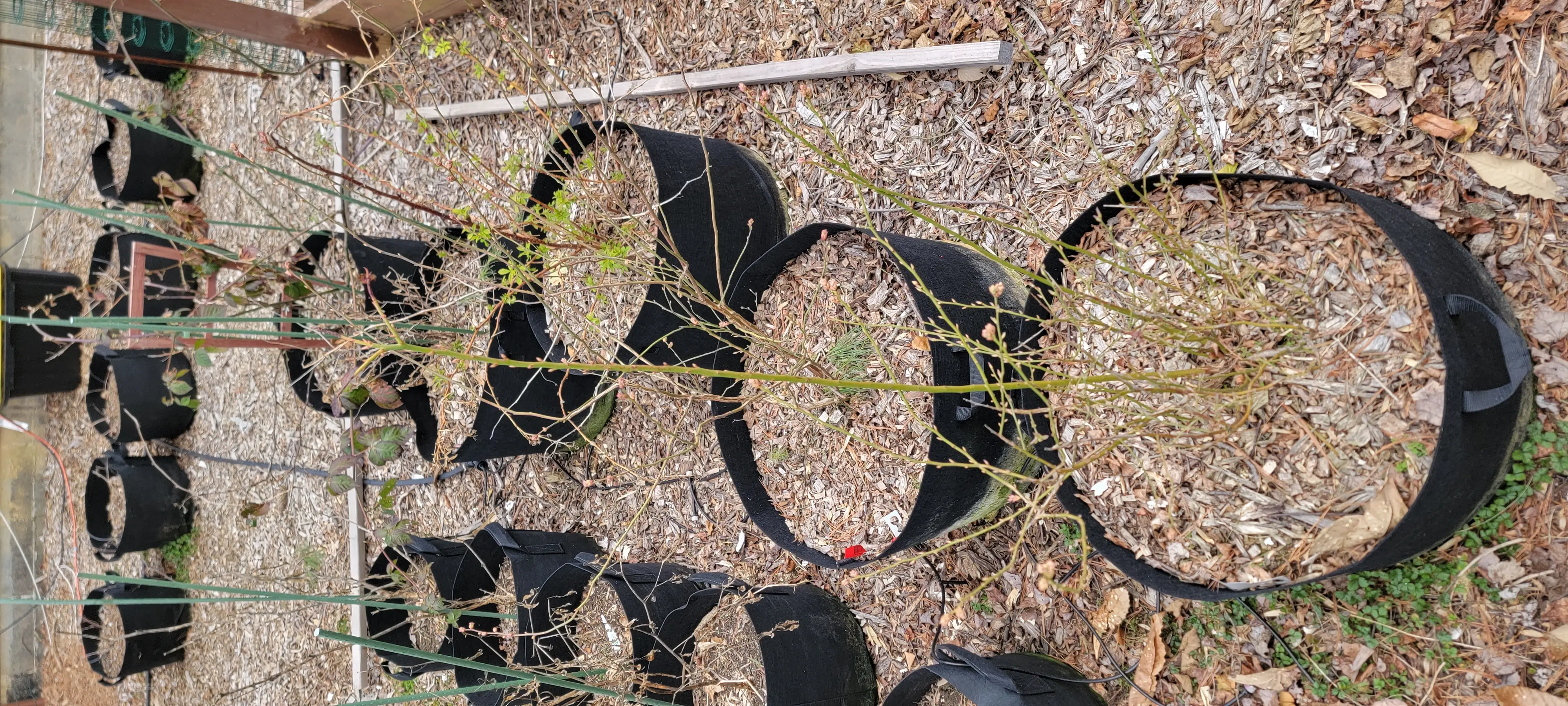 Image Outdoor/20230321_173234.webp