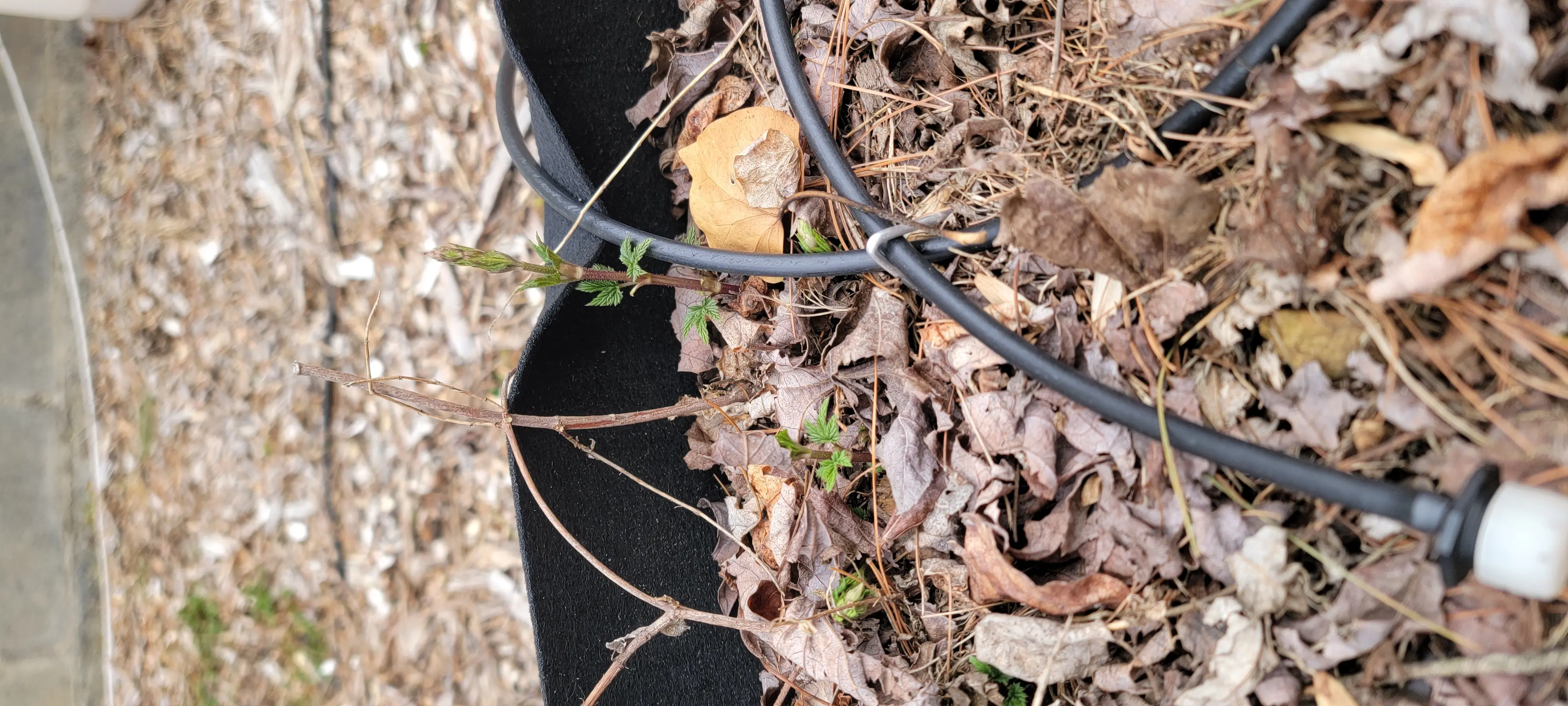 Image Outdoor/20230321_173350.webp