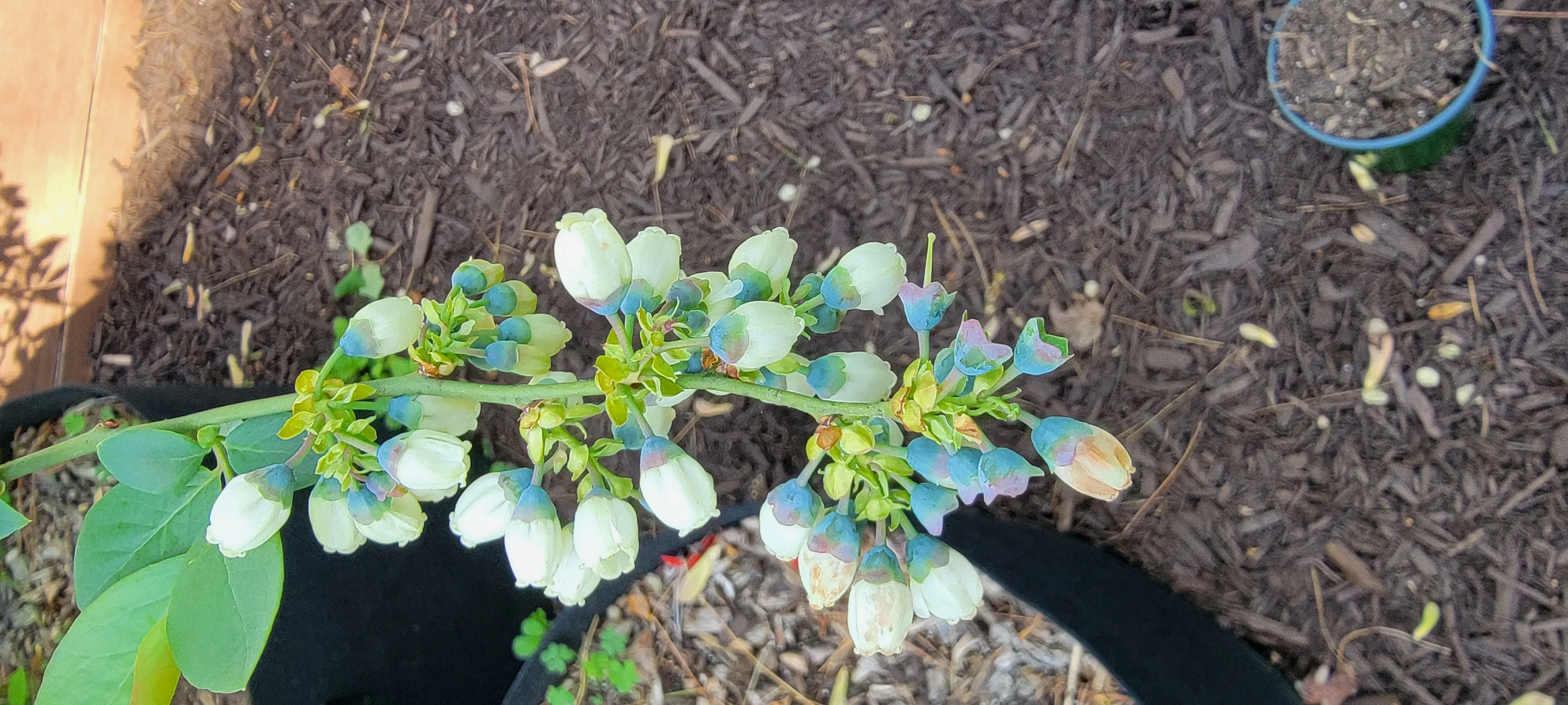 Image Outdoor/20230420_095348.webp