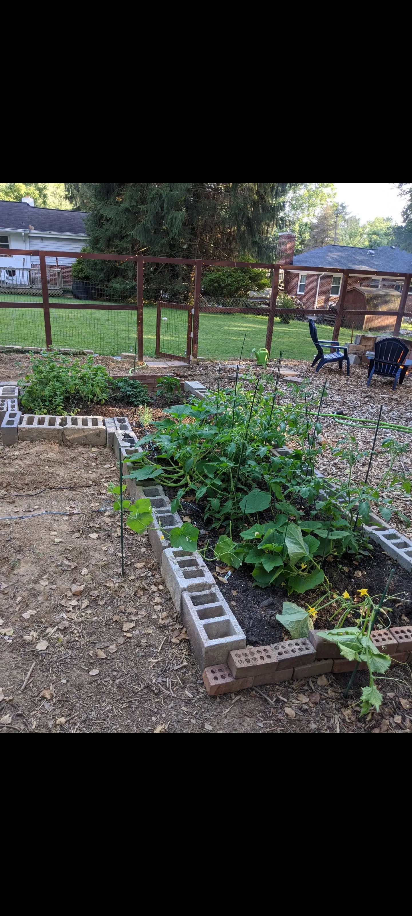 Image Outdoor/Screenshot_20210411-071858_Photos.webp