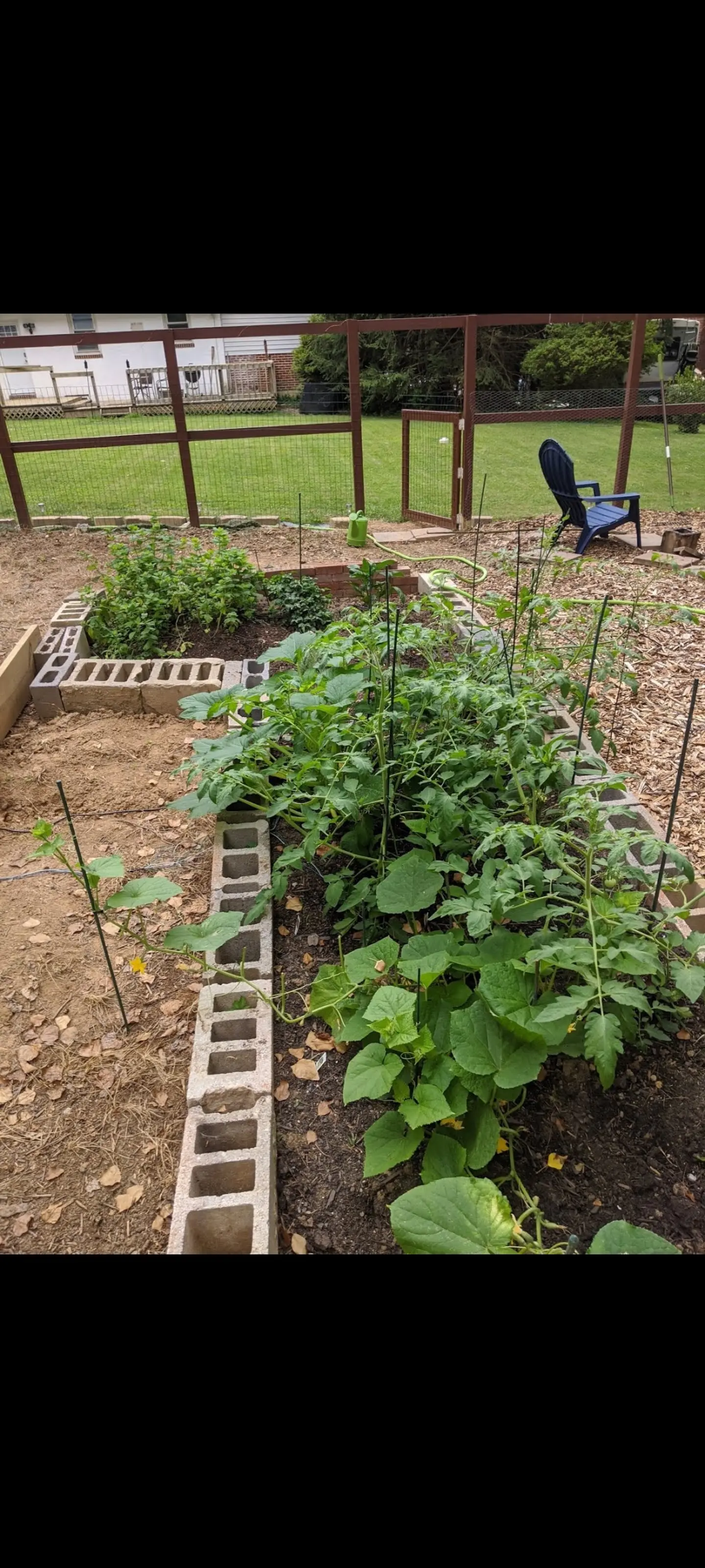 Image Outdoor/Screenshot_20210411-071907_Photos.webp