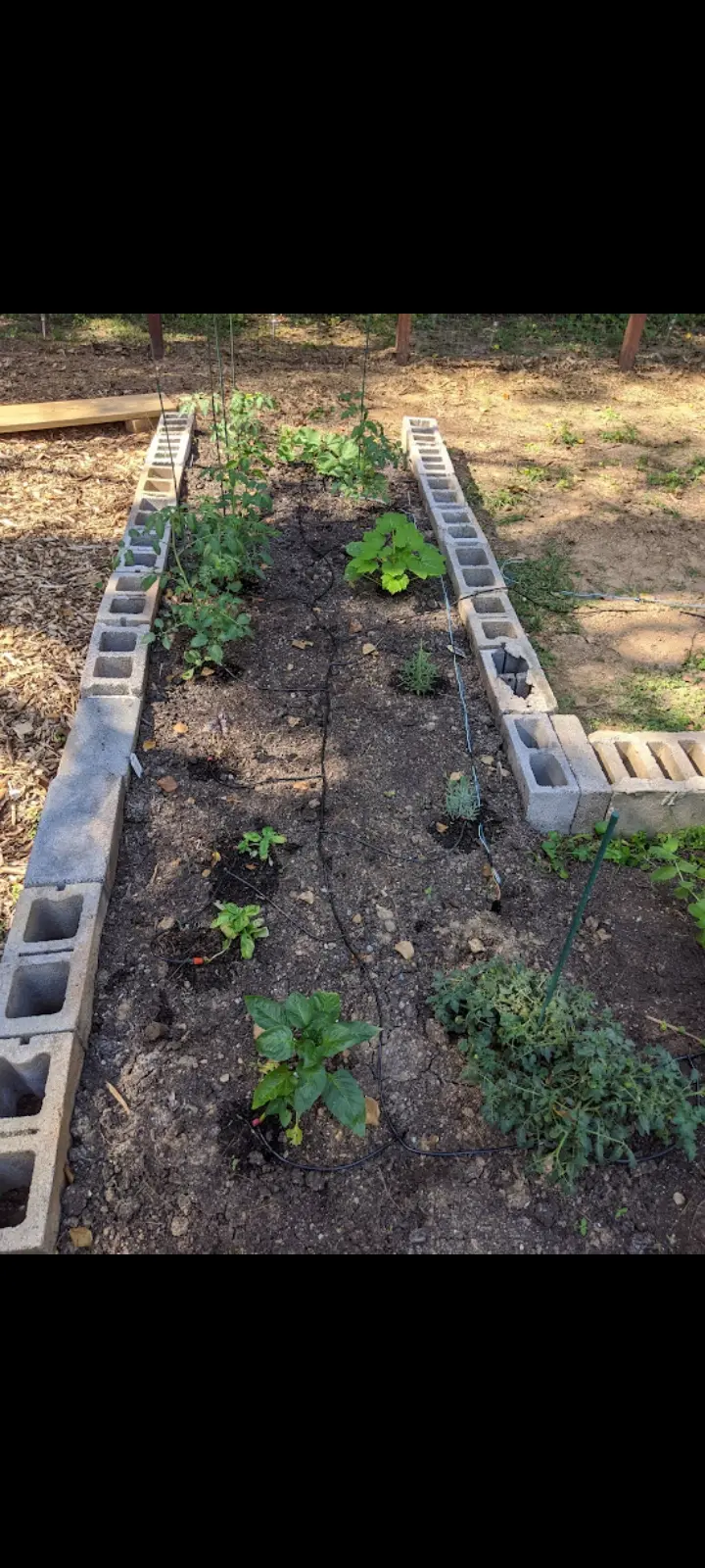 Image Outdoor/Screenshot_20221114-134728_Photos.webp