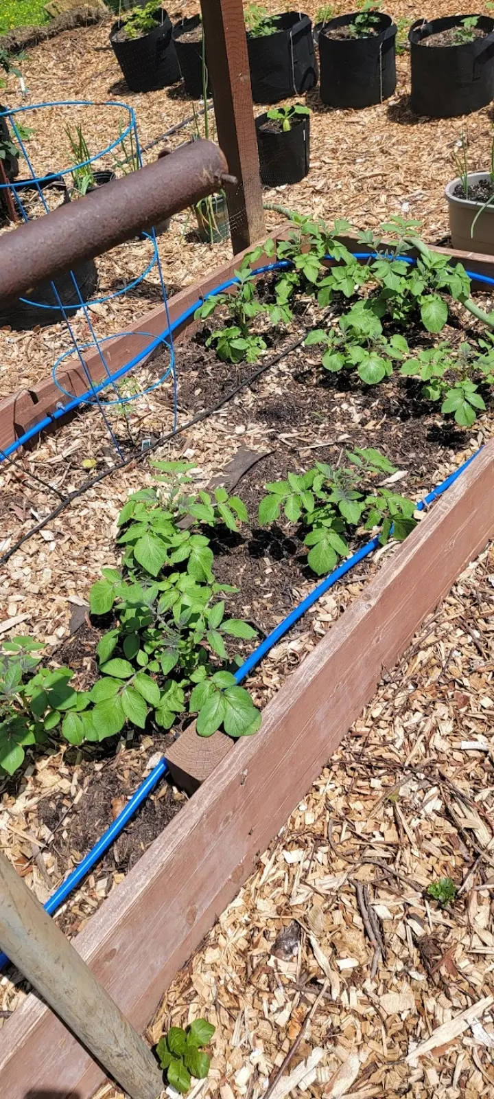 Image Outdoor/Screenshot_20221114-135127_Photos.webp