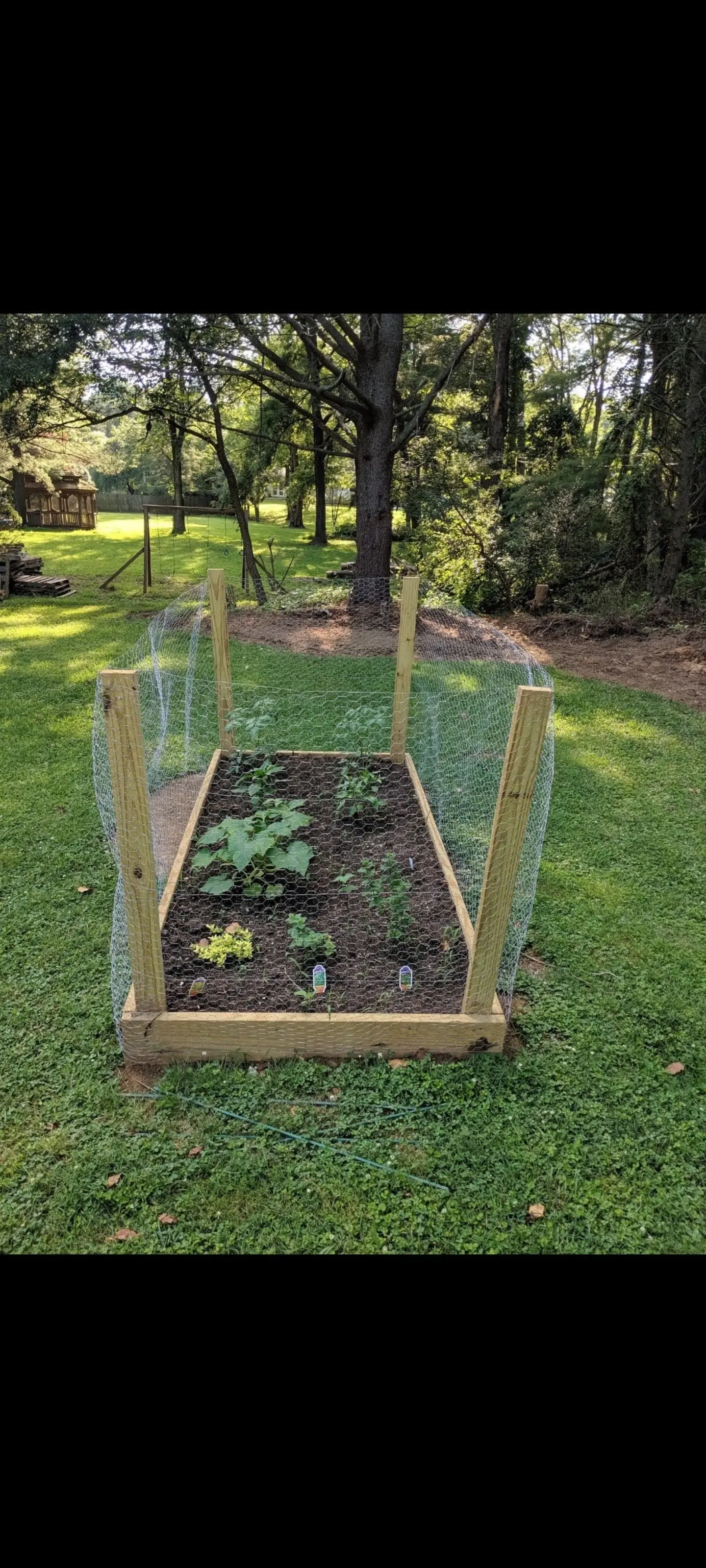 Image Screenshot_20210411-071715_Photos.webp