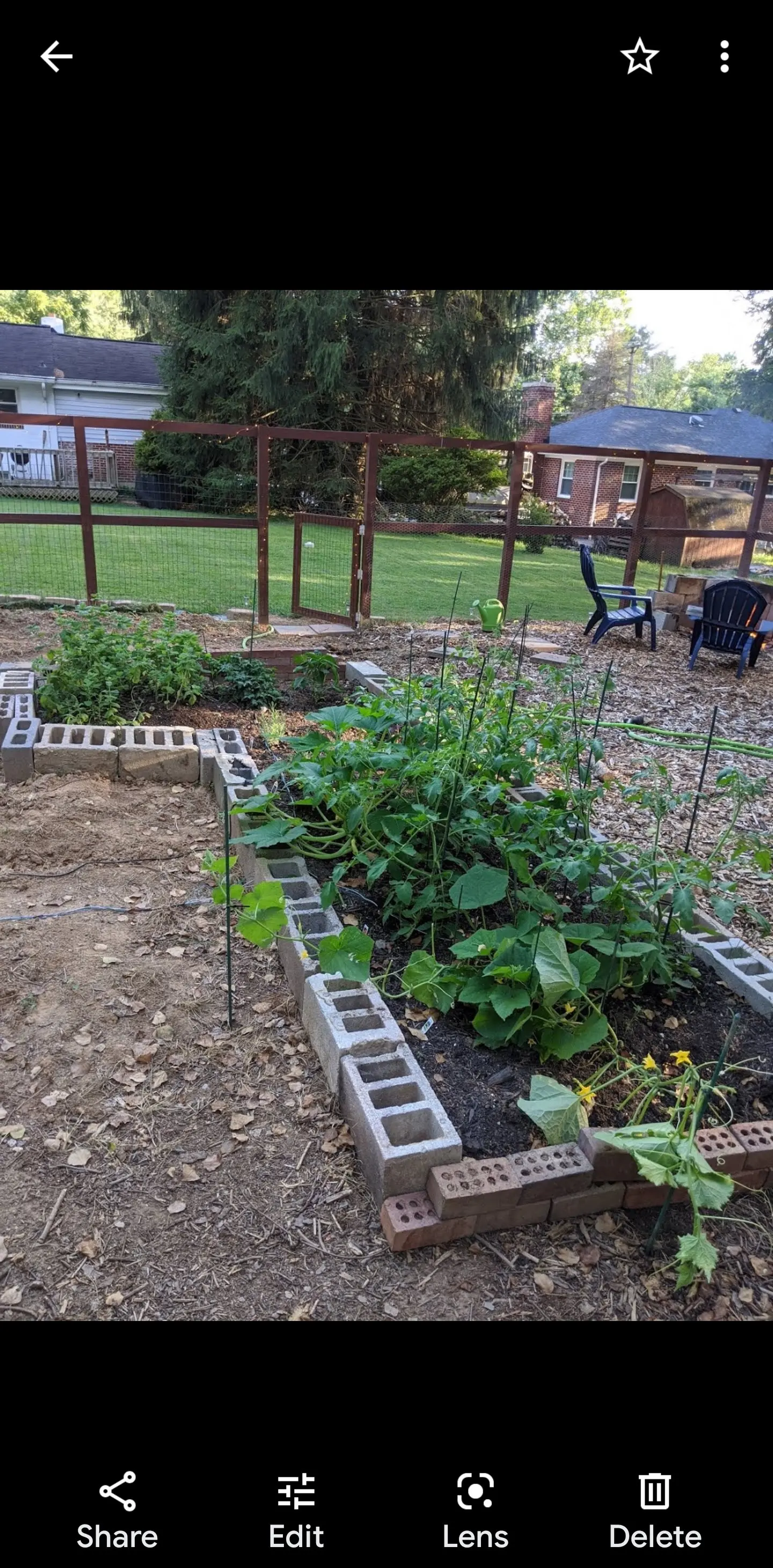 Image Screenshot_20210411-071855_Photos.webp