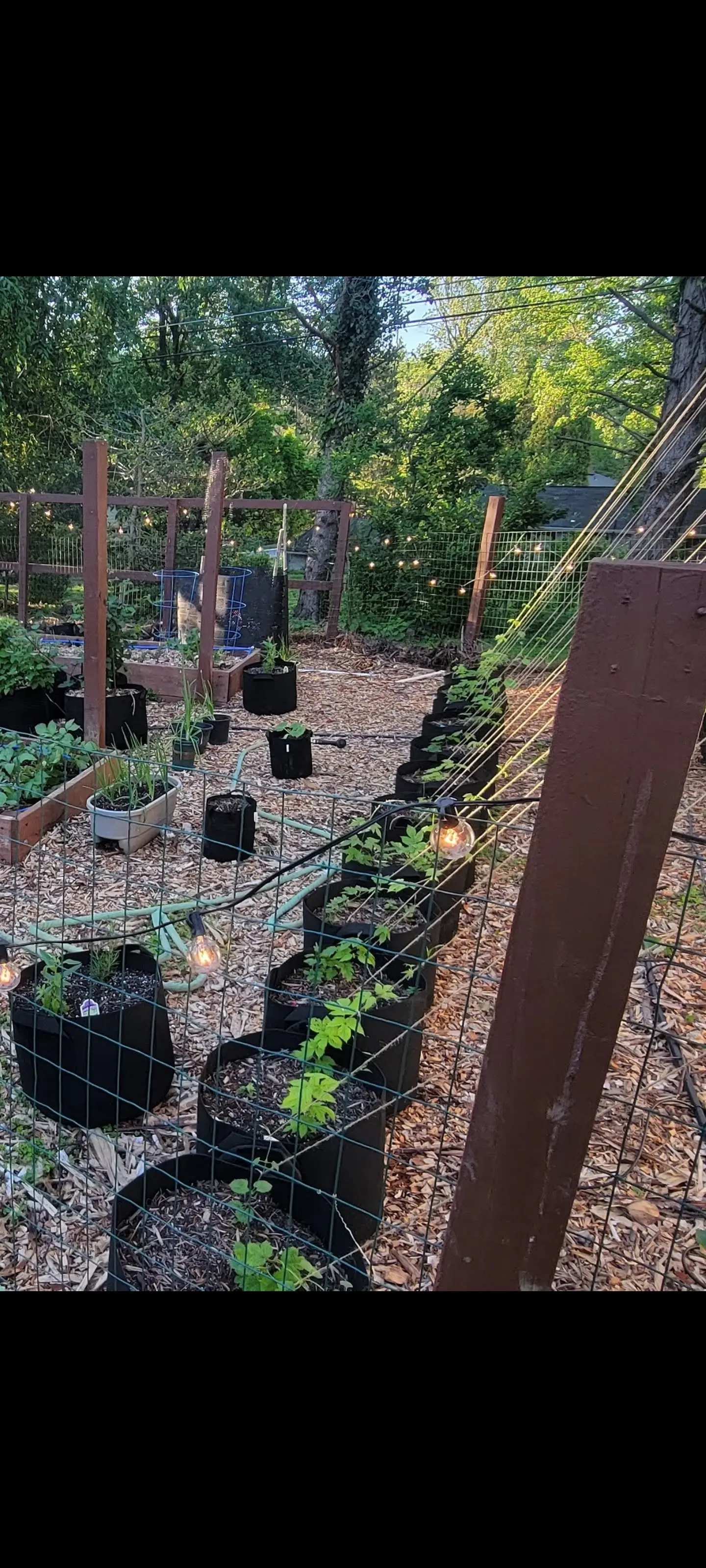 Image Screenshot_20220525-203016_Photos.webp